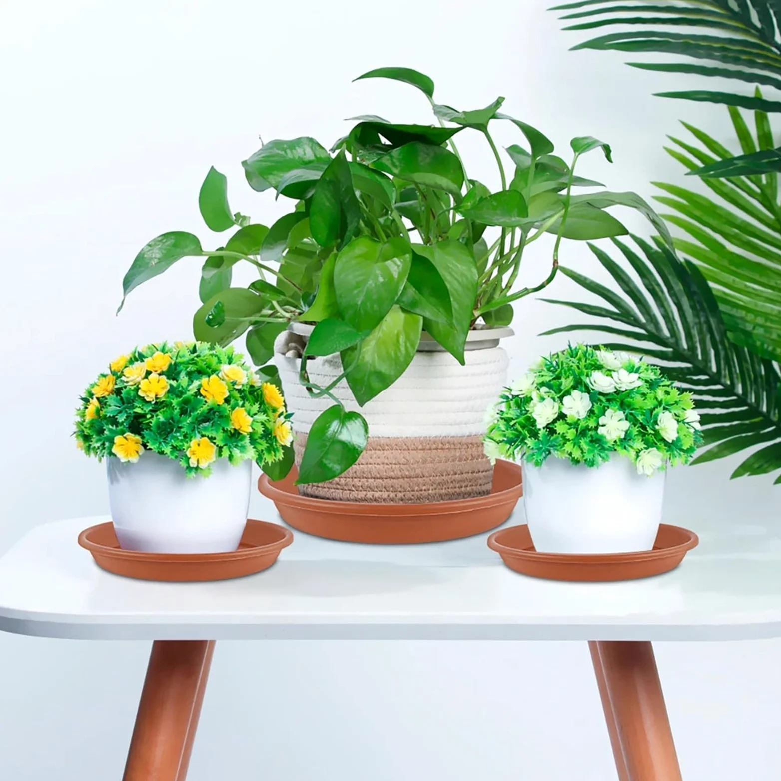 Juego de 5 platillos for plantas, redondos, con goteo, bandejas de PP más gruesas for plantas, macetas for interiores y exteriores, suministros for el jardín del hogar Bandeja Para Macetas(5Pcs Brown