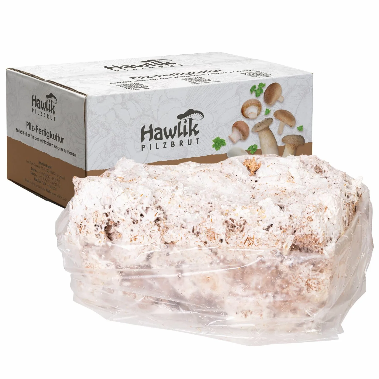 Hawlik Set de cultivo de setas de ostra - Kit pequeño para cultivar y cosechar setas frescas