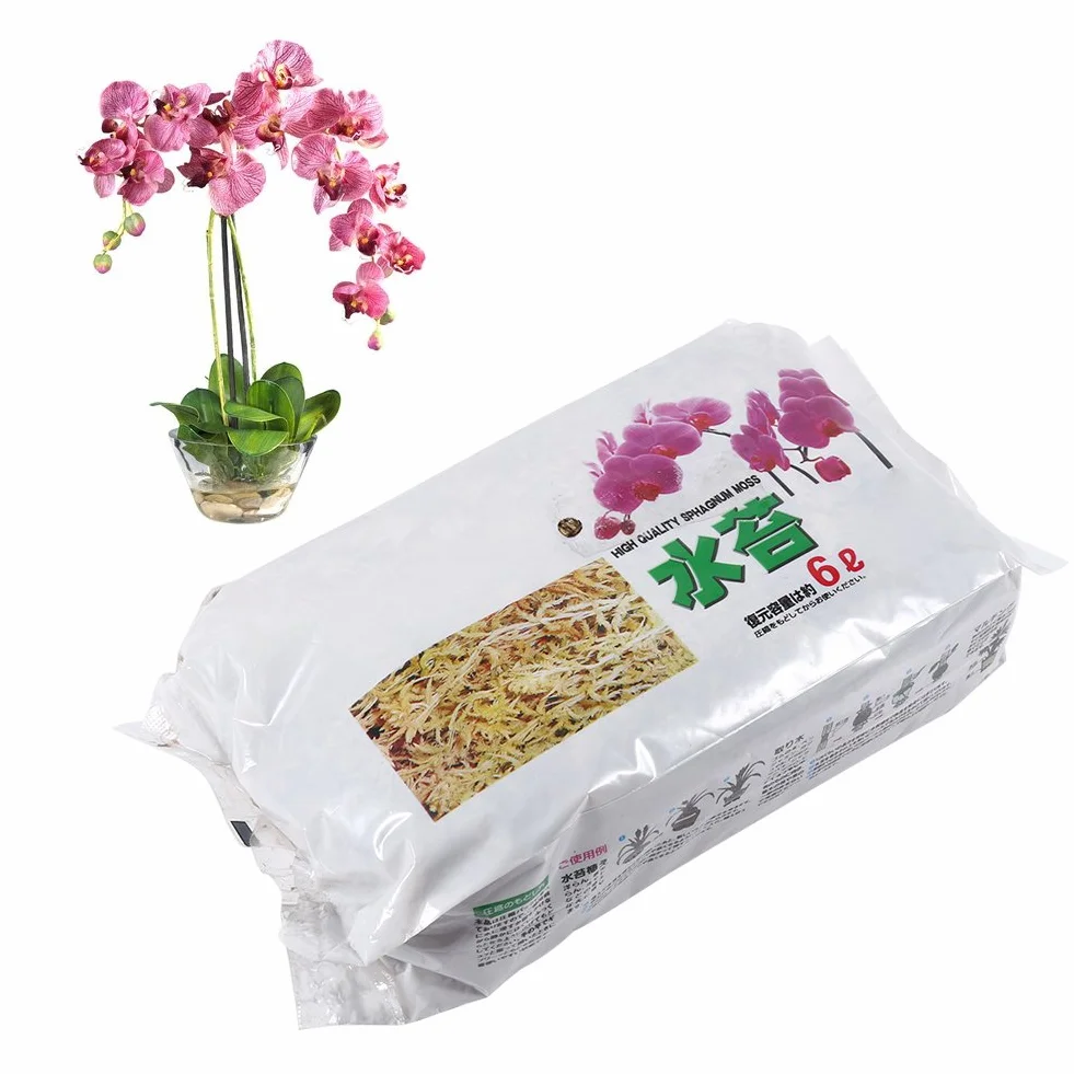 Musgo de Fertilizante Orgánico para Phalaenopsis Orchid Sphagnum Moos 6L