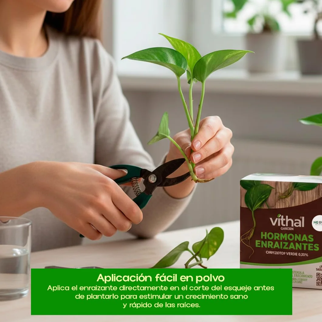 Polvo Enraizante para Esquejes 25 g Hormonas Enraizantes Profesionales Estimulador Crecimiento Radicular Herbáceos Leñosos