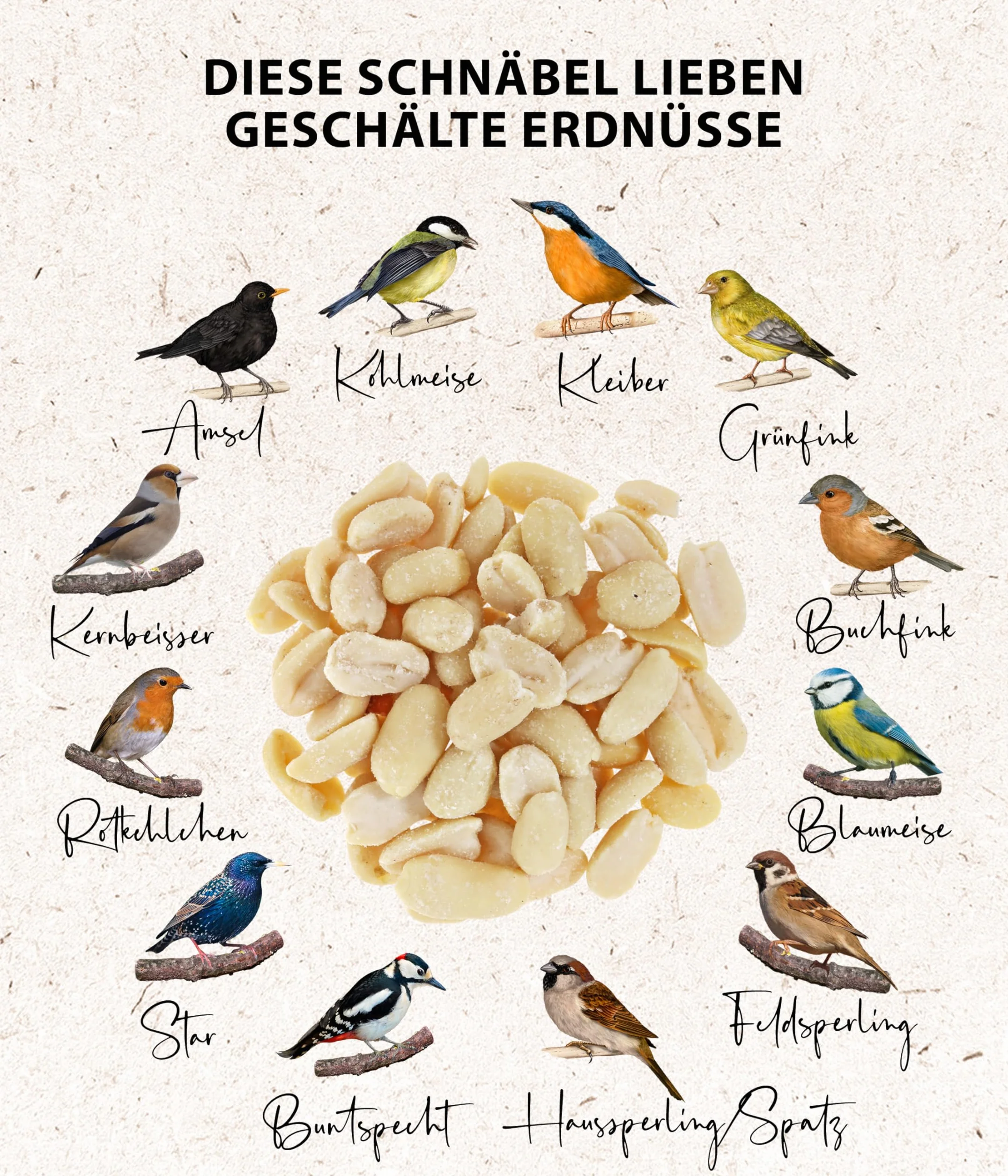Dehner Natura Alpiste para Aves Silvestres Corazones de Cacahuete Enteros 5 l 3,4 kg