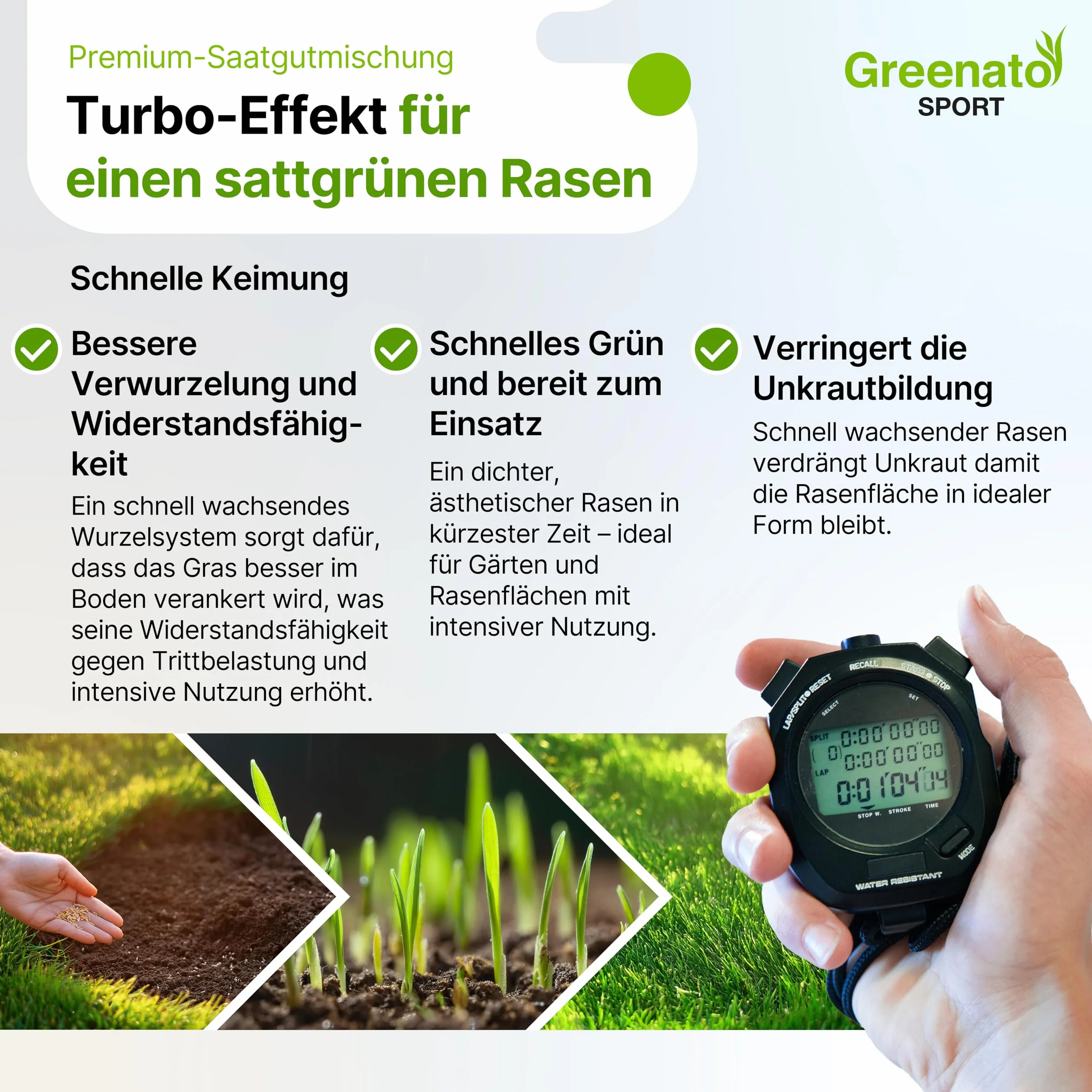 Semillas de césped Greenato Sport 25 kg Césped deportivo