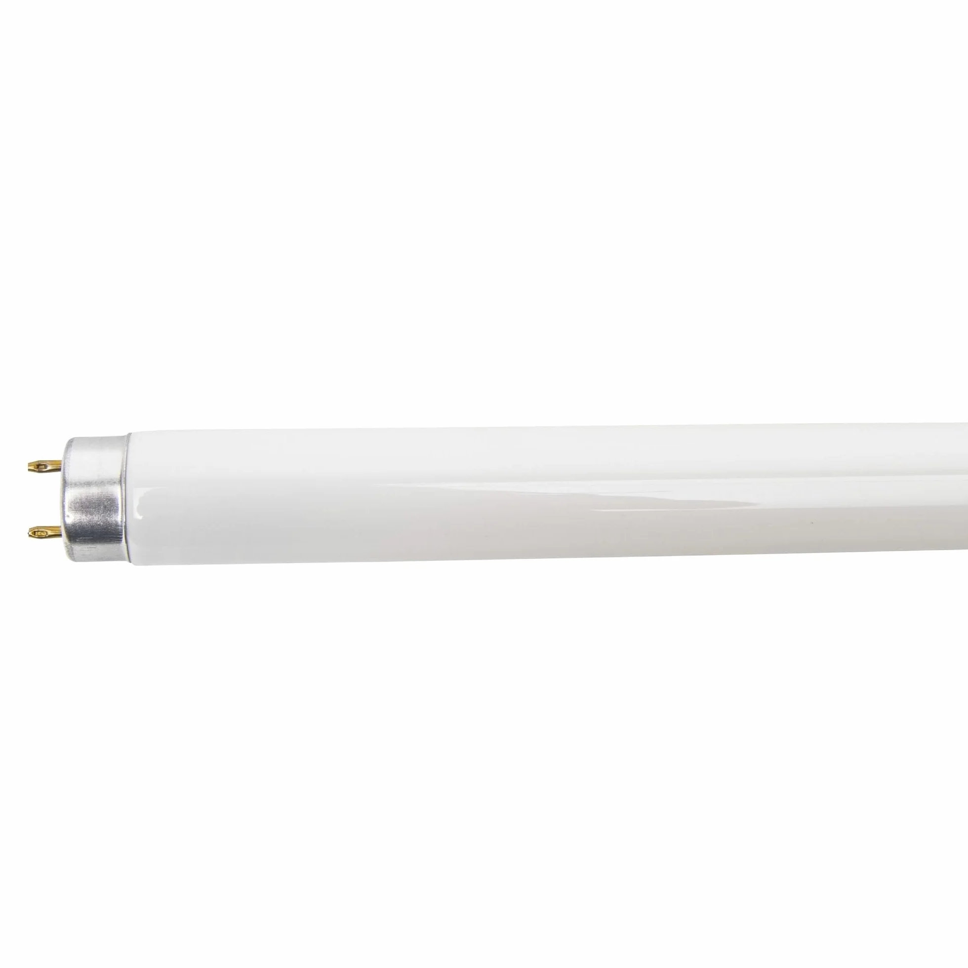 WERKA PRO Tubo de Reemplazo 18W para Destructor de Insectos