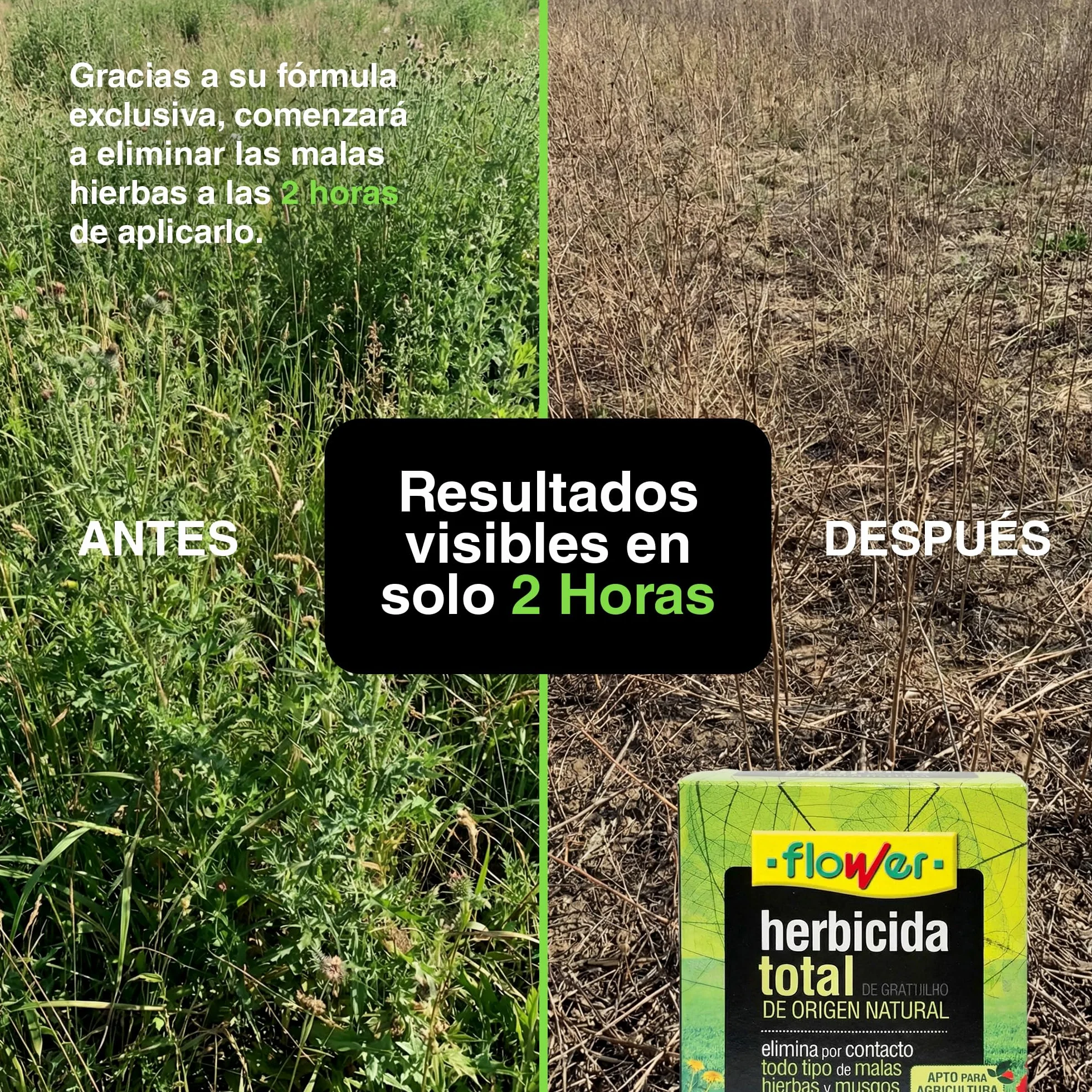 FLOWER Herbicida Total Ecológico 150 m² 250ml Elimina Malas Hierbas y Musgos Alternativa Glifosato