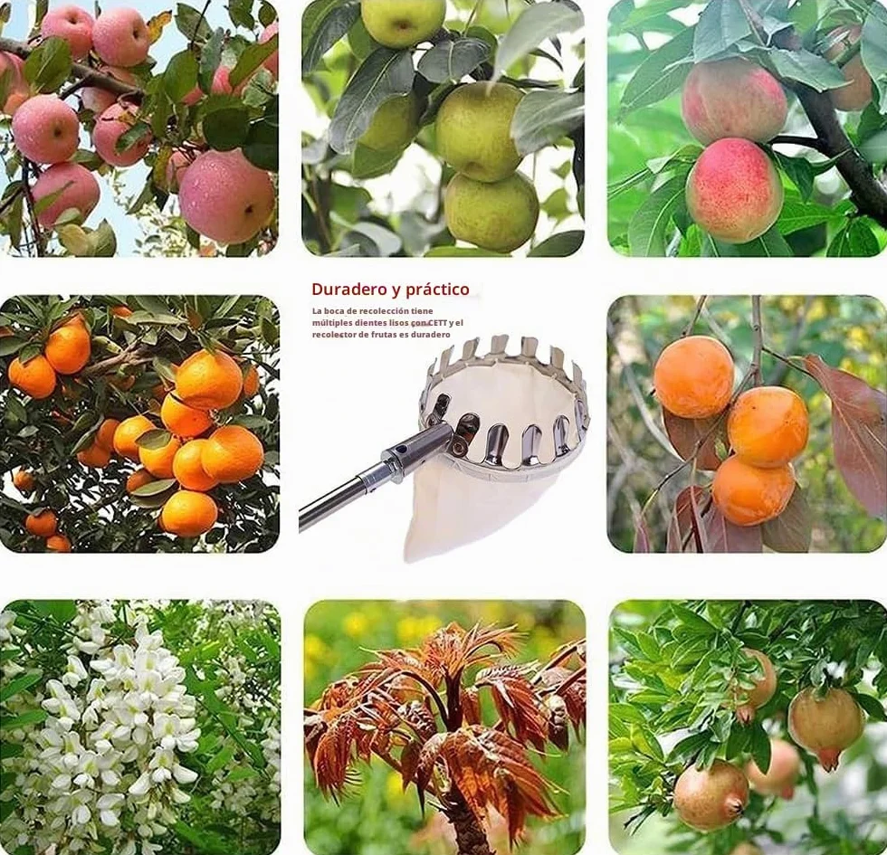 TUIBEIDAMAI Recogedor de frutas mango telescópico 4,25M acero inoxidable cerezas manzanas 16 cm