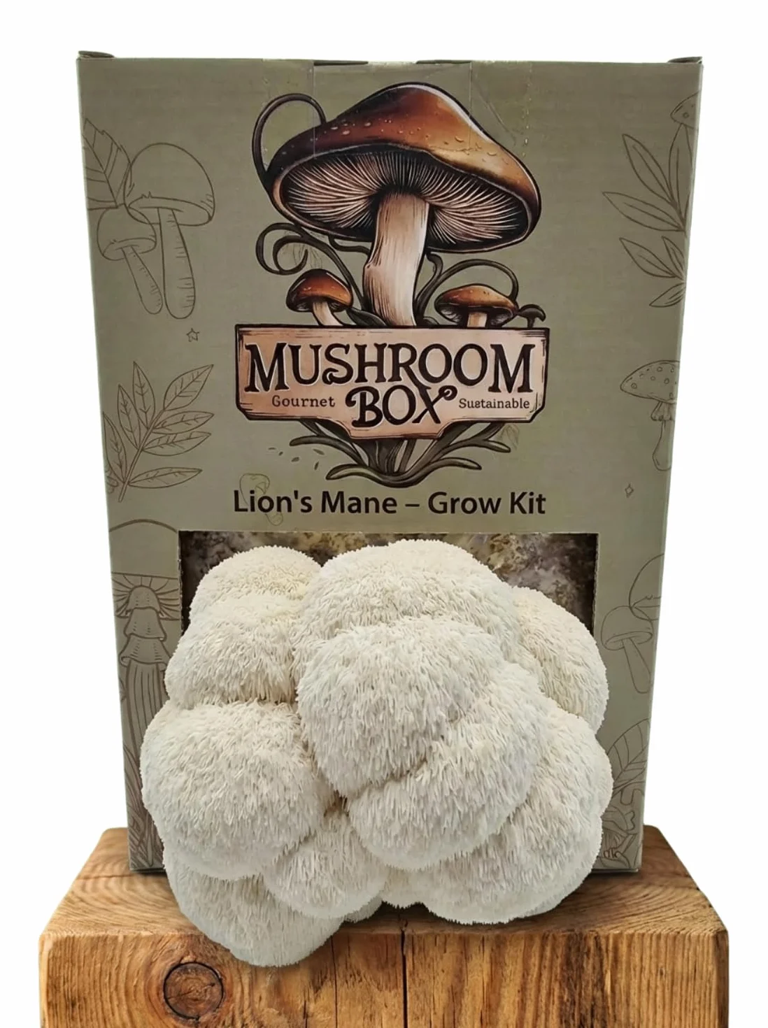 Nutrition Geeks Kit de cultivo de setas Lion's Mane Hericium erinaceus 1,8 kg