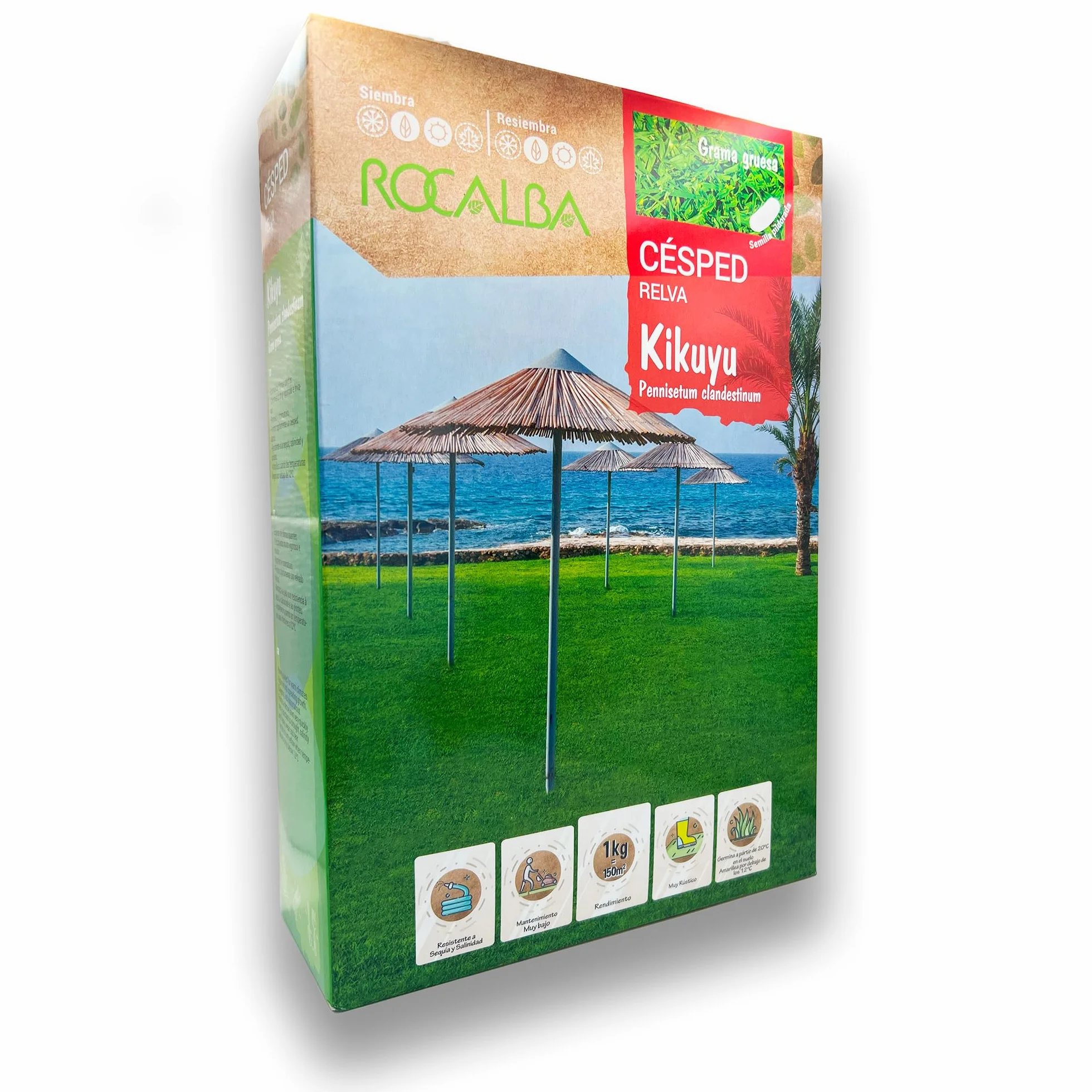 Semillas de Césped Kikuyu Rocalba 1 KG Pennisetum Clandestinum Alta Resistencia
