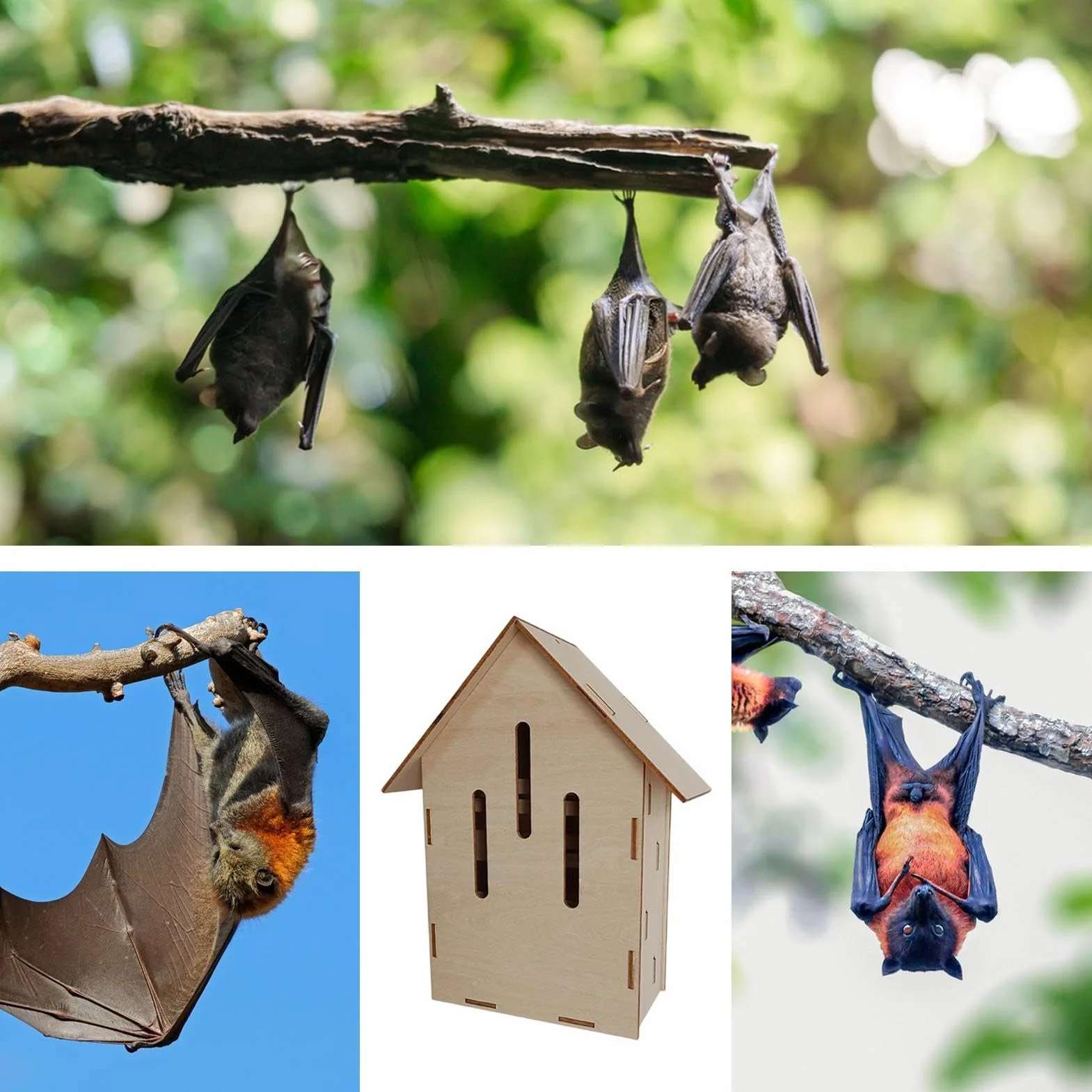 Refugio para Murciélagos para Jardín - Hábitat De Animales De Madera,Cueva De Descanso para Murciélagos - para Jardineros Amantes de la Naturaleza Propietarios de Casas Granjas Huertos y