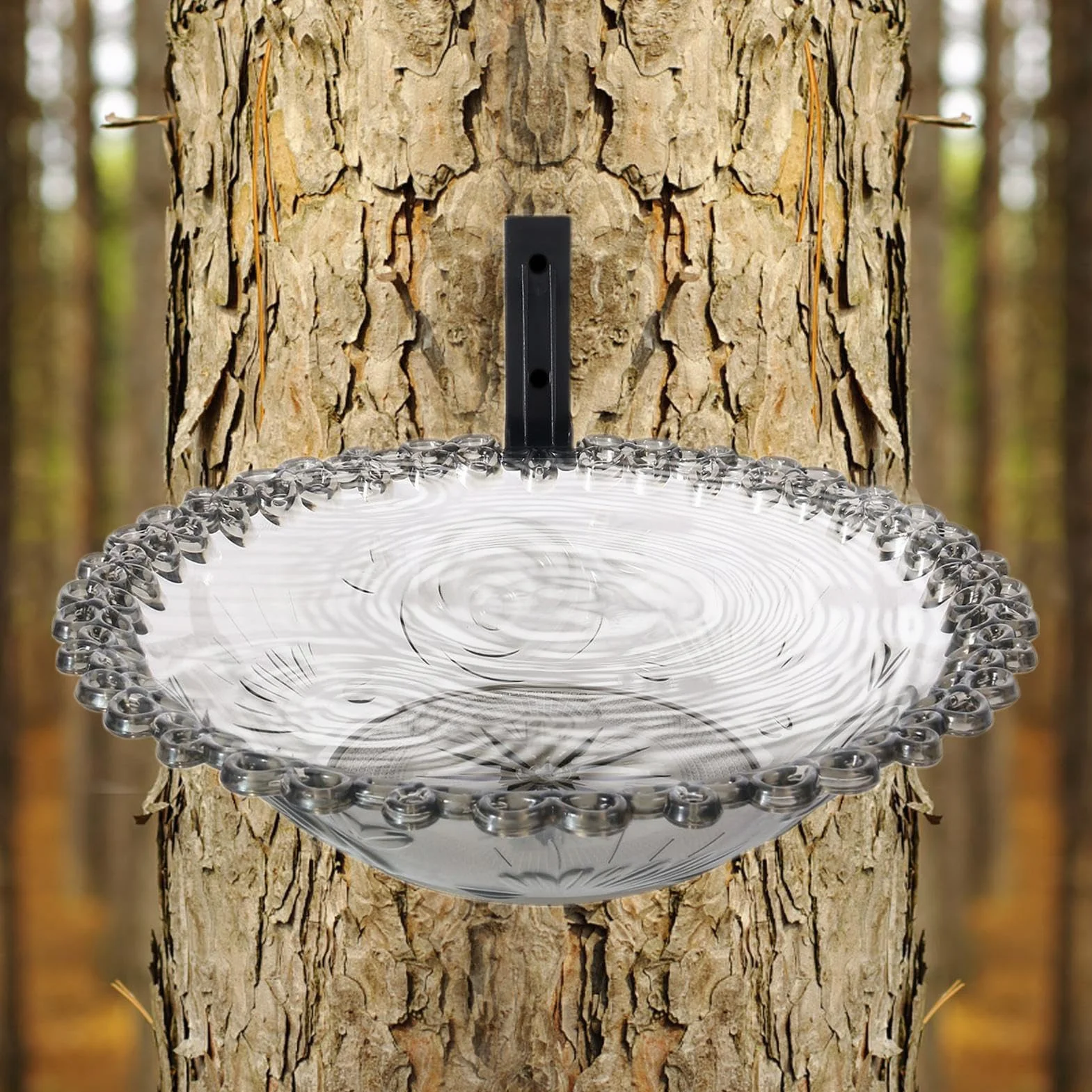 Baño para pájaros de 9 Pulgadas Colgante de Agua Jardín Transparente