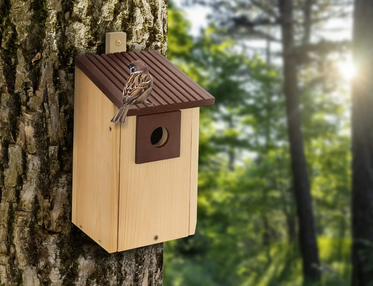 Nido de madera B20-NPx4, nido de madera, caseta para pájaros, nido de madera natural, resistente a la intemperie, construcción de madera maciza, decoración para jardín, +marrón