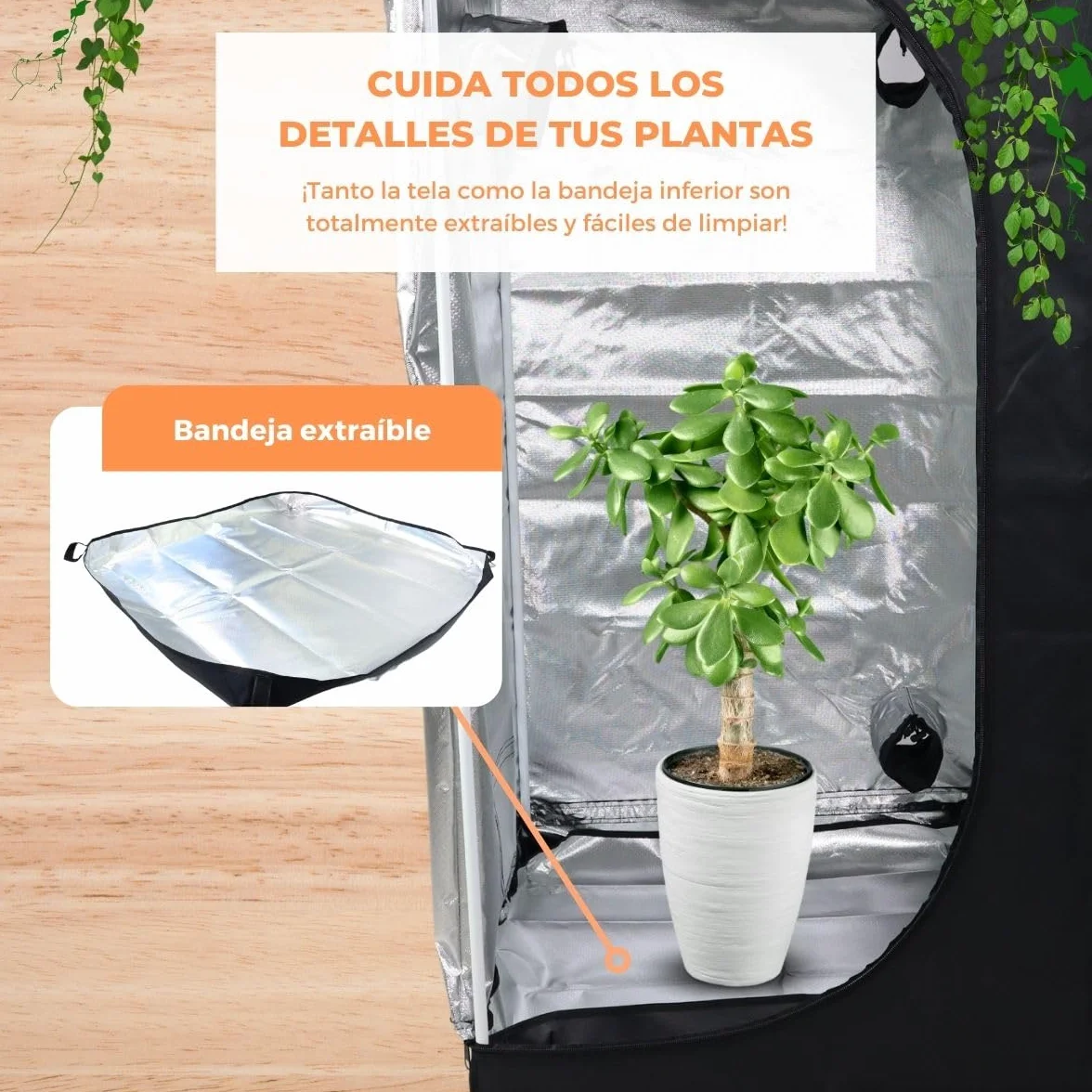 Mobiclinic®, Armario de Cultivo Interior, Growbox, Reflectante Premium Mylar 97%, Hidropónico, Impermeable, Fondo Desmontable, Tejido Nylon Grueso, Estructura Resistente, Grow Tent