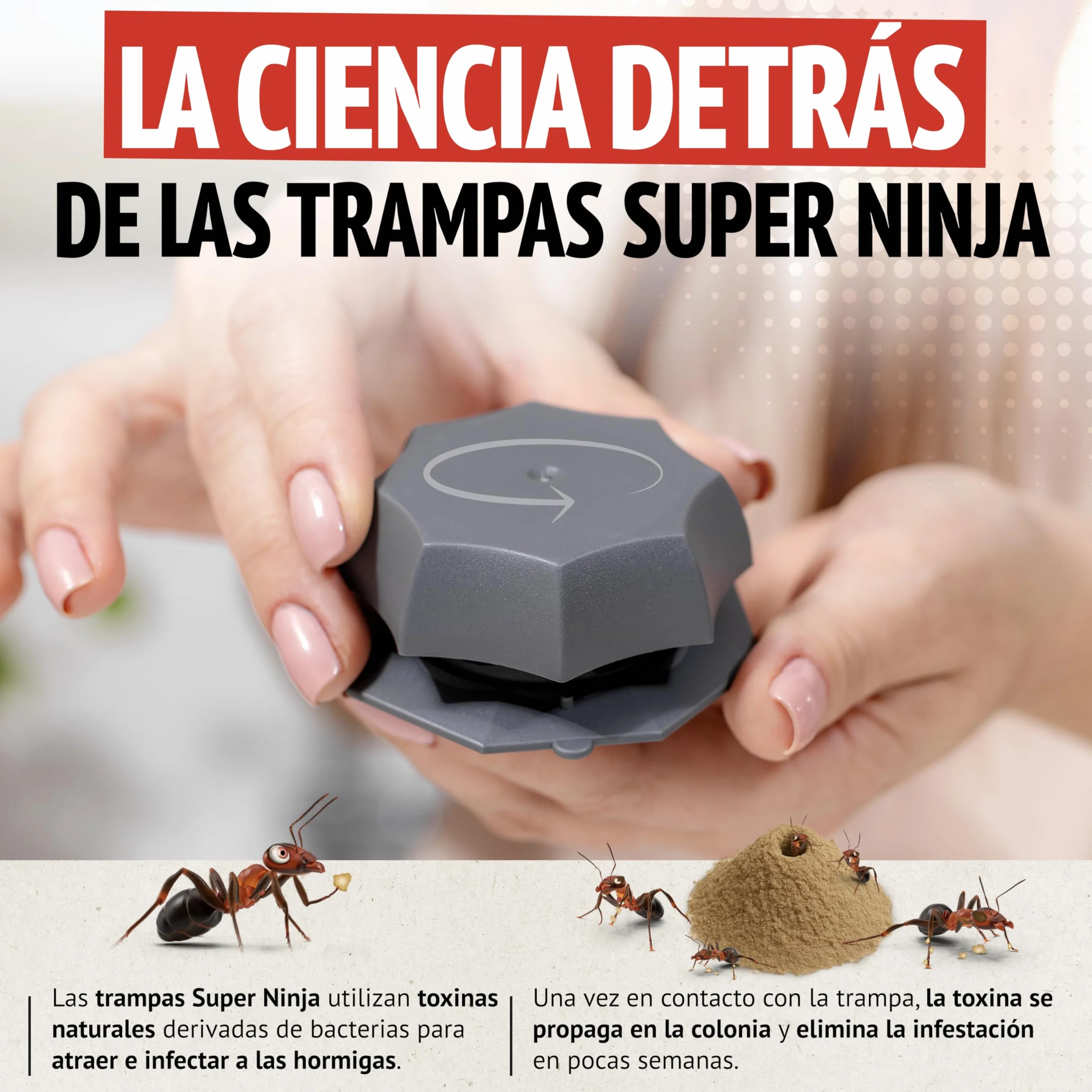 Trampa para Hormigas Pack 4 Unidades - Mata Hormigas con Cebo Anti Hormigas para Interior y Exterior