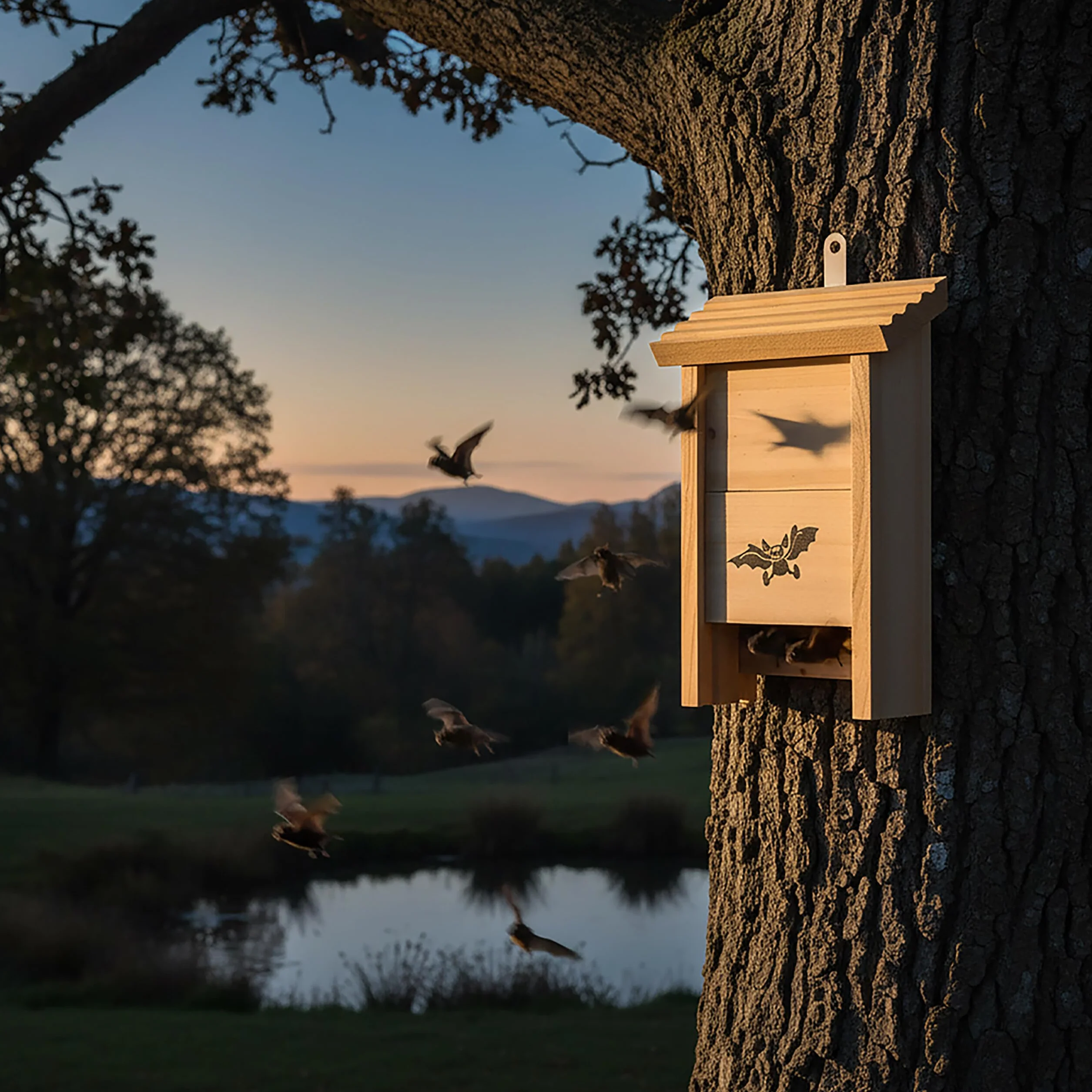 Relaxdays Caja para murciélagos, Set de 2 en Madera Natural, Refugio sin Tratar, HBT: 25 x 18 x 6 cm
