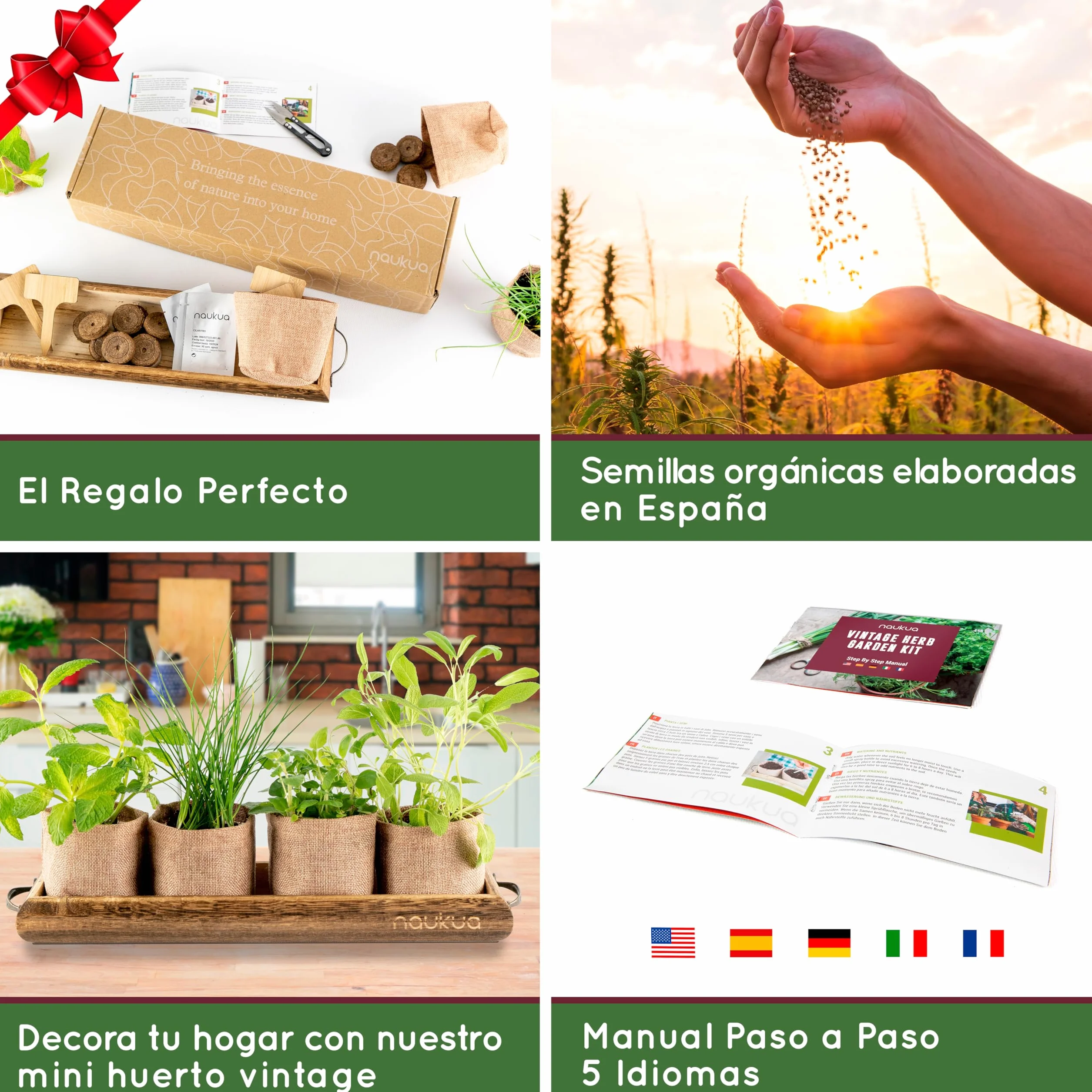 Kit Cultivo Hierbas Aromaticas Cebollino Oregano Menta Salvia Semillas Organicas Huerto Urbano