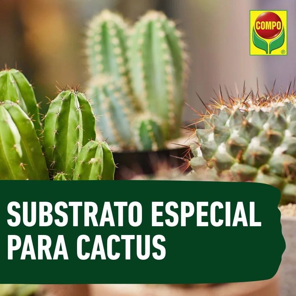 Compo Sana Substrato para Cactus y Suculentas 5 L con Abono 8 Semanas