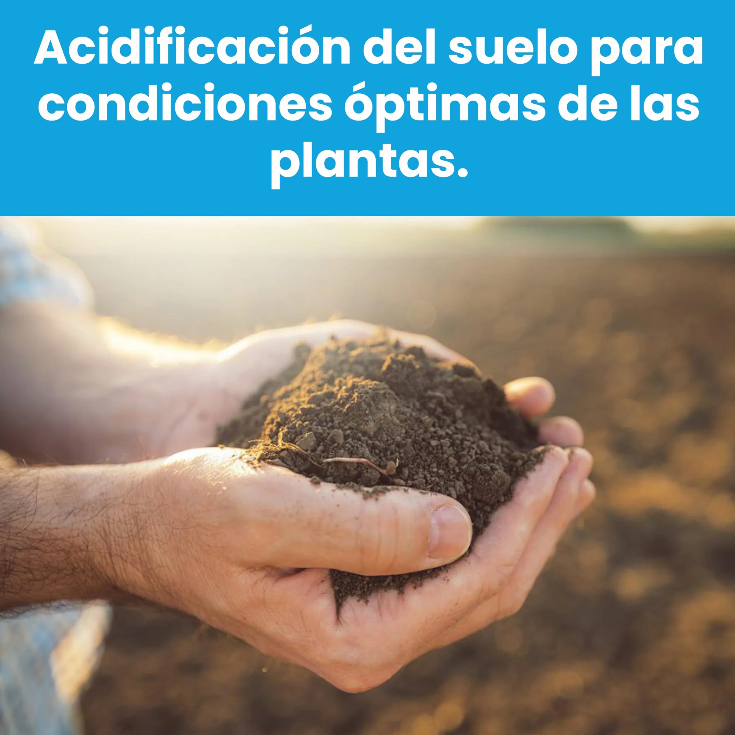 LERAVA Sulfato de Hierro Granulado Fertilizante para Plantas y Jardines Césped Árboles 20m²