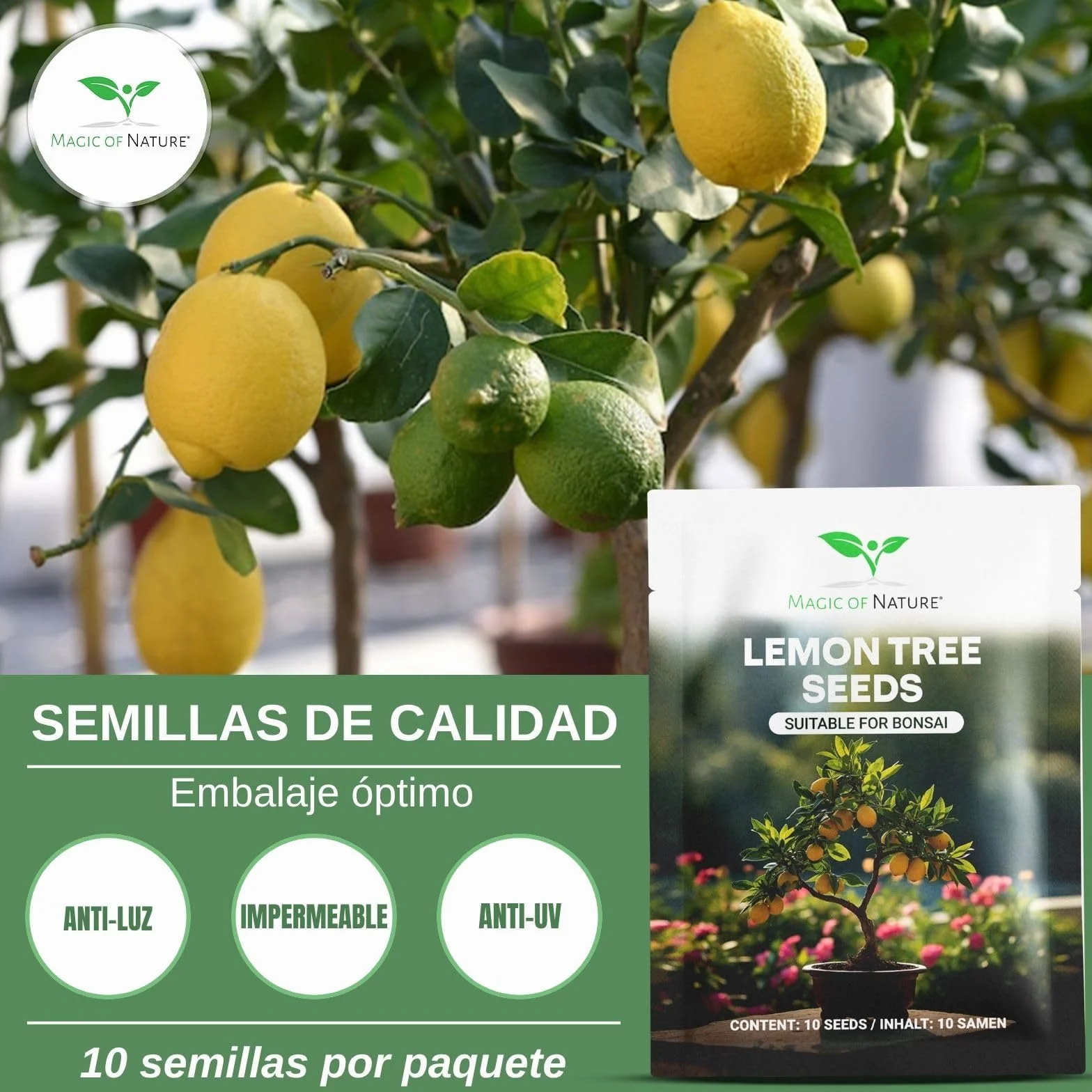 Semillas Limonero Mini 10 Uds Bonsái Planta Interior Perenne Maceta