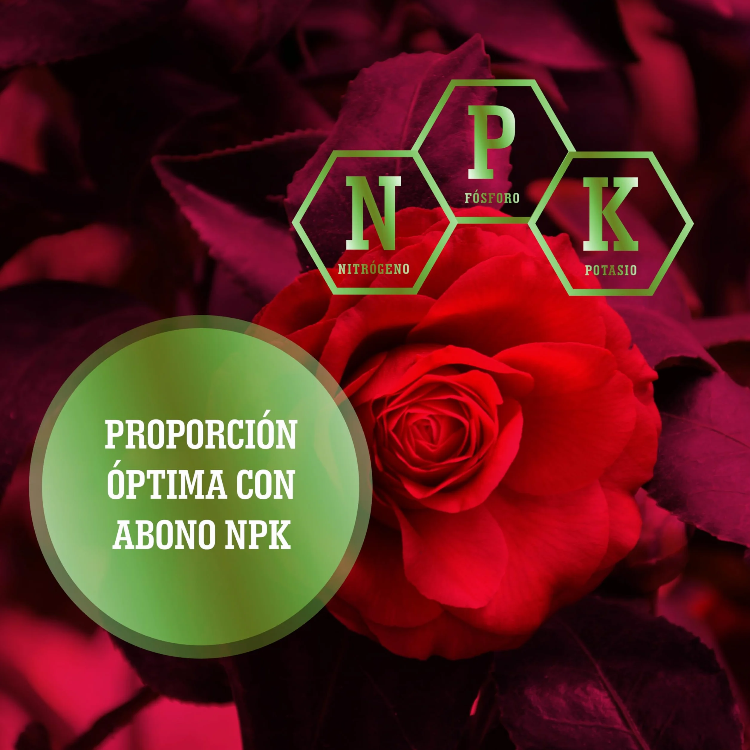 LERAVA Abono líquido para rosas 700 ml con tapón dosificador quelatos microelementos Made in Italy