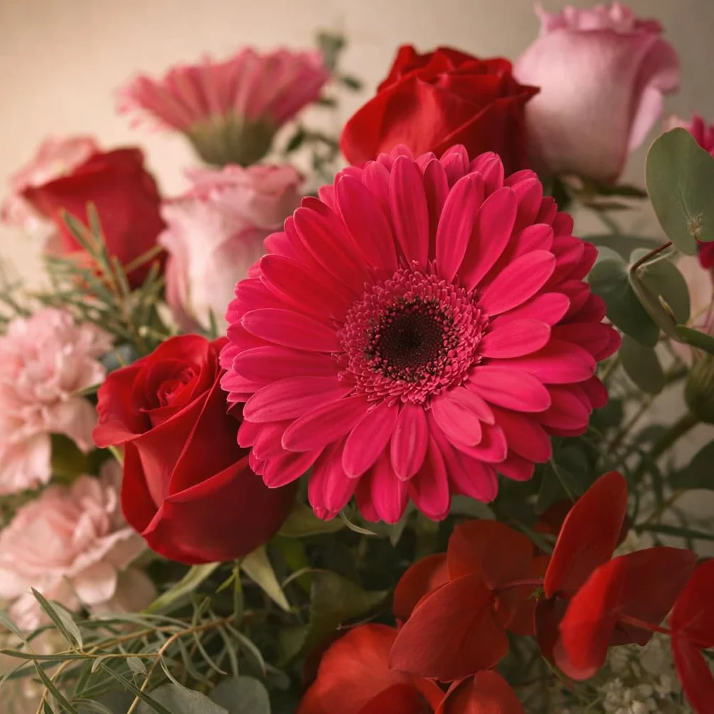Ramo de Flores Naturales Gerberas con Taza y Peluche Regalo San Valentín