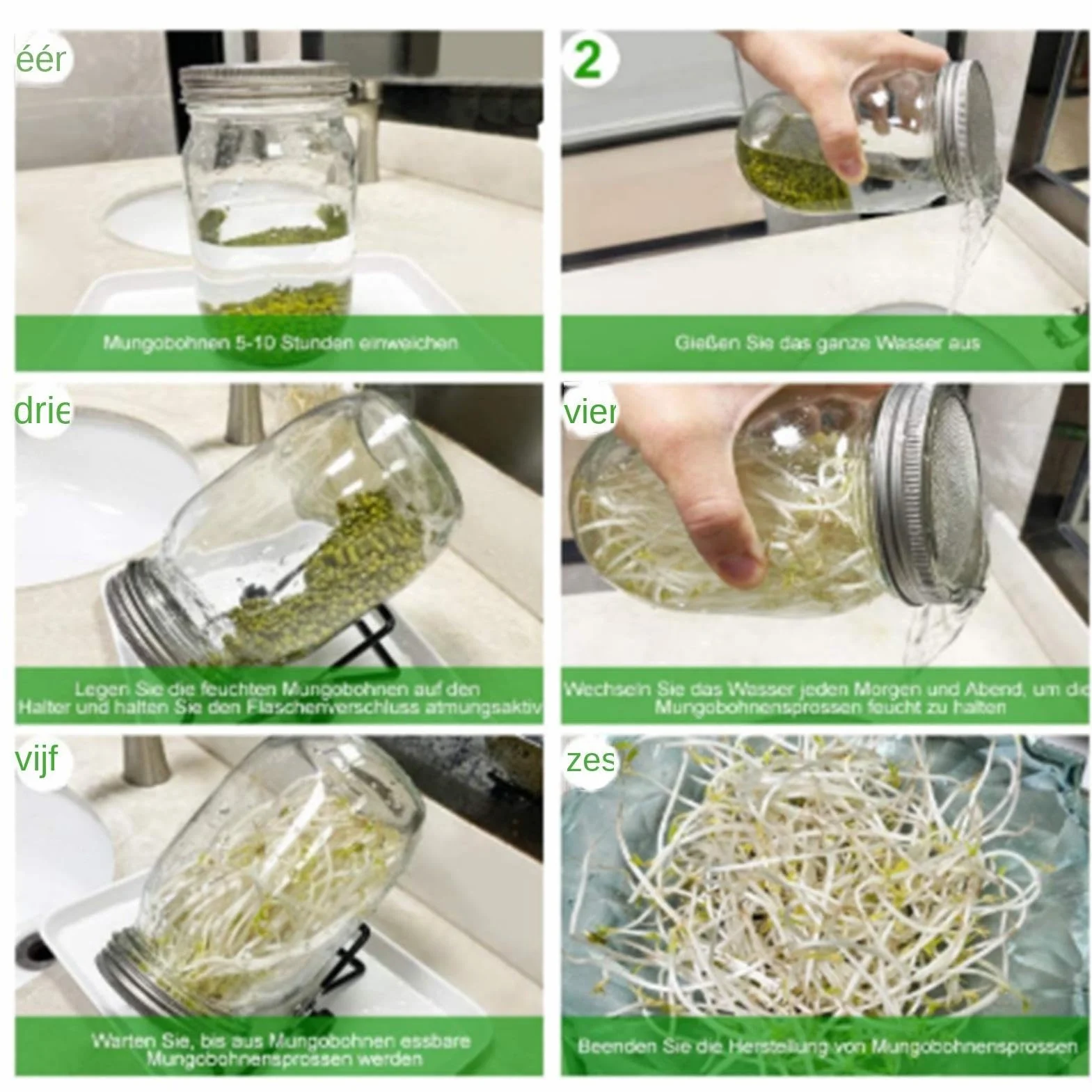 Frasco Germinador Con Ancha con Rejilla de Acero Inoxidable con Opaca y | Kit Germinador de Brotes Para Hogar Cocina Sala De Estar Balcón Legumbres Frutos Secos Granos Brócoli