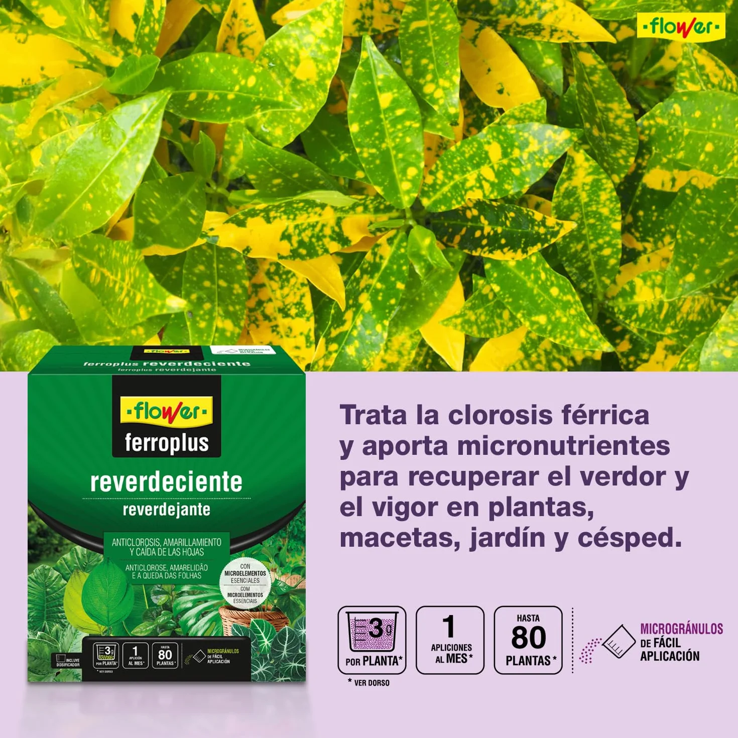 Ferro-Plus Reverdeciente 250g Corrector de Clorosis Aporta Magnesio y Micronutrientes