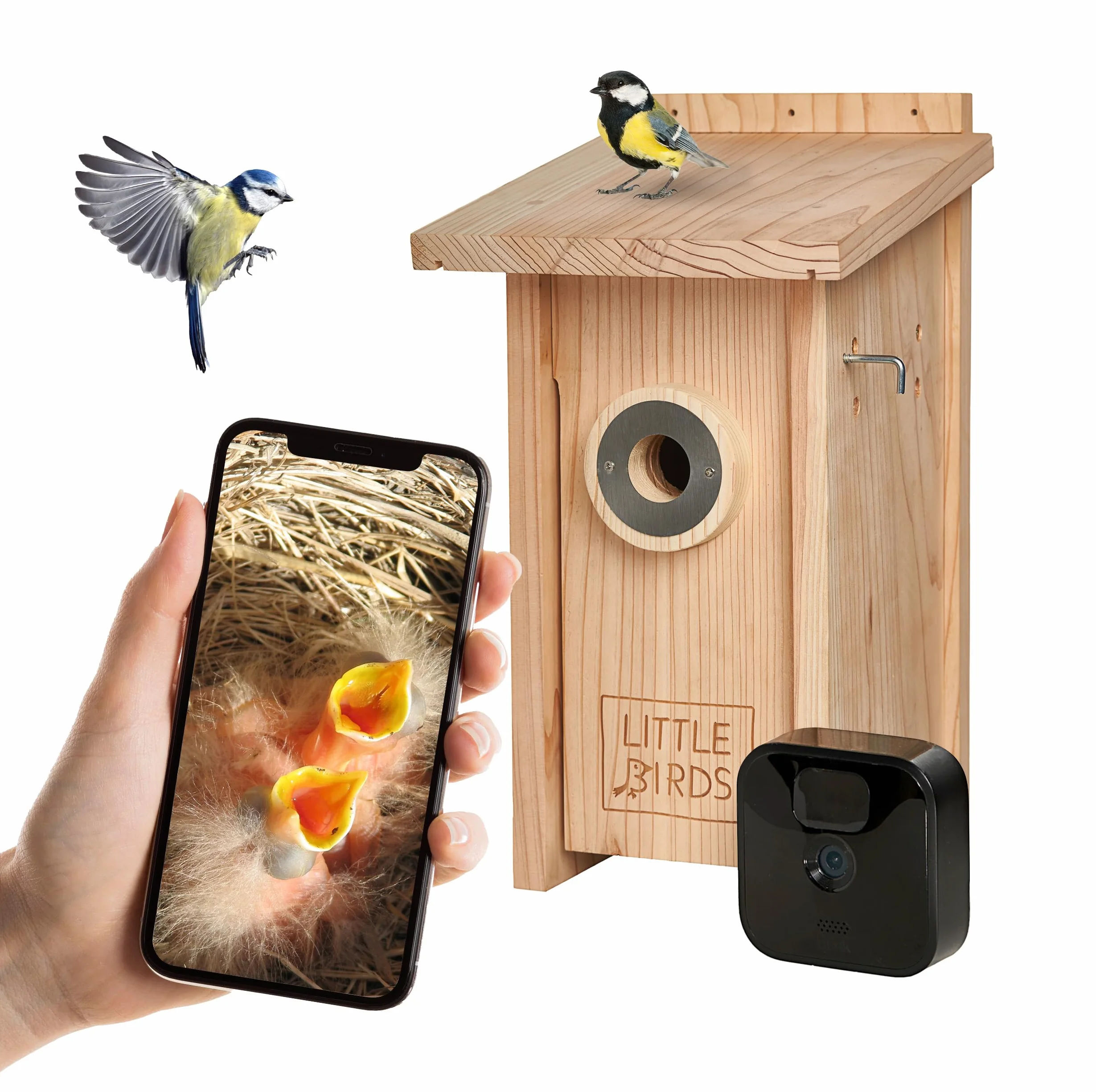 Little Birds - Caja nido para cámara "Blink", madera maciza ecológica, protección para gatos y pájaros carpinteros, incubadora