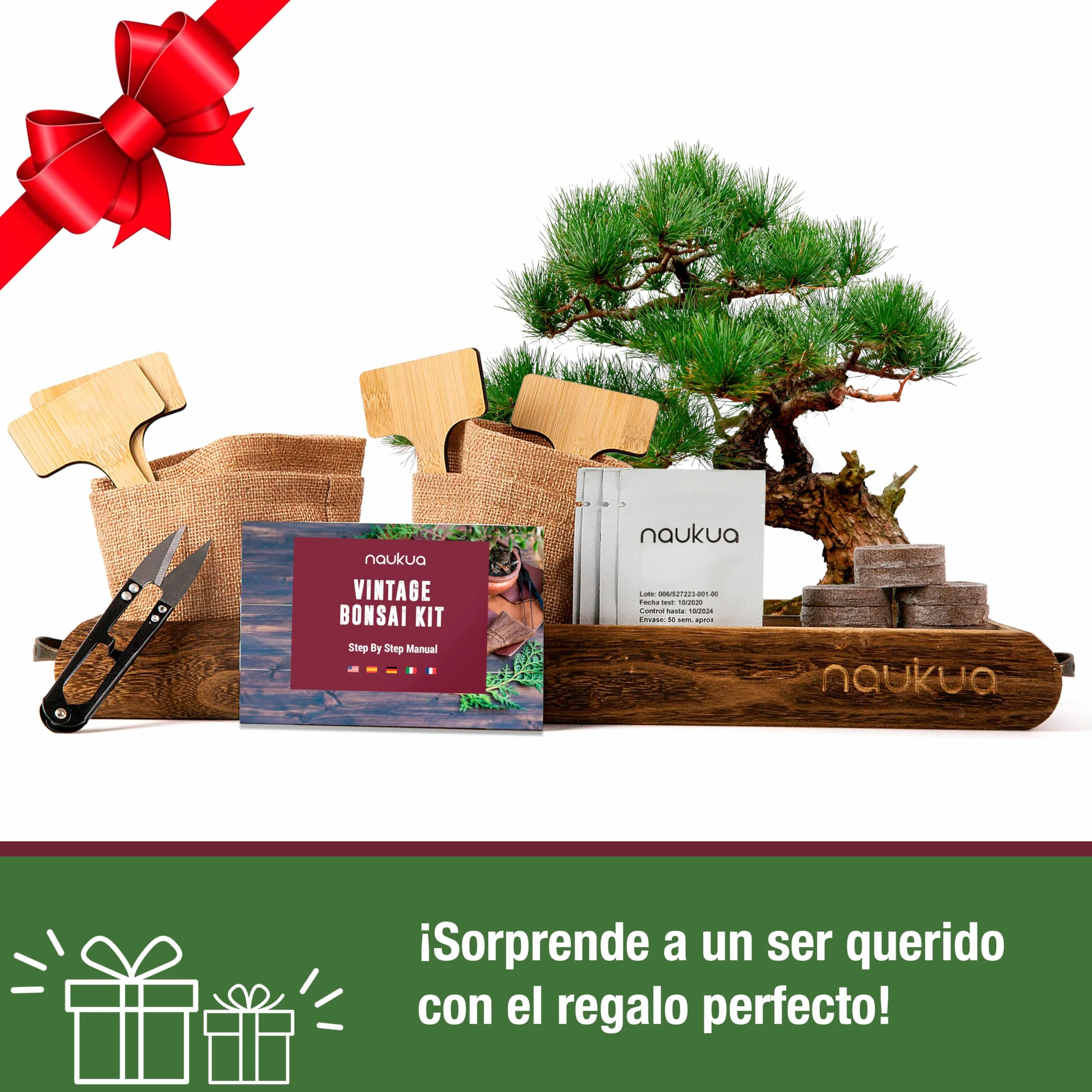 Kit Vintage Bonsai 4x Especies Semillas Orgánicas Guía Completa Plantación
