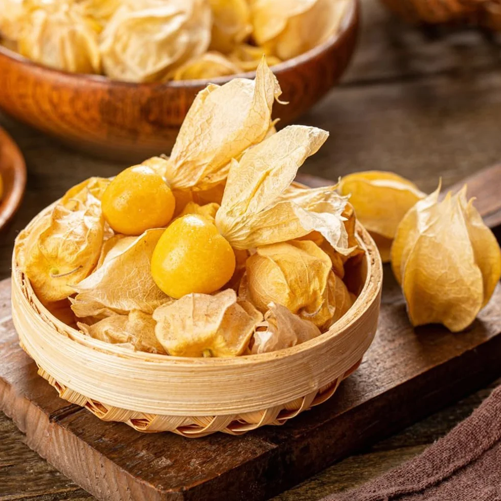 Physalis peruana nasiona 500 sztuk, roślina szybko rosnąca, odporna na zewnątrz, rzadka odmiana