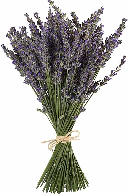 Ramo de Lavanda Flores Secas DECOALIVE Flores Naturales Preservadas