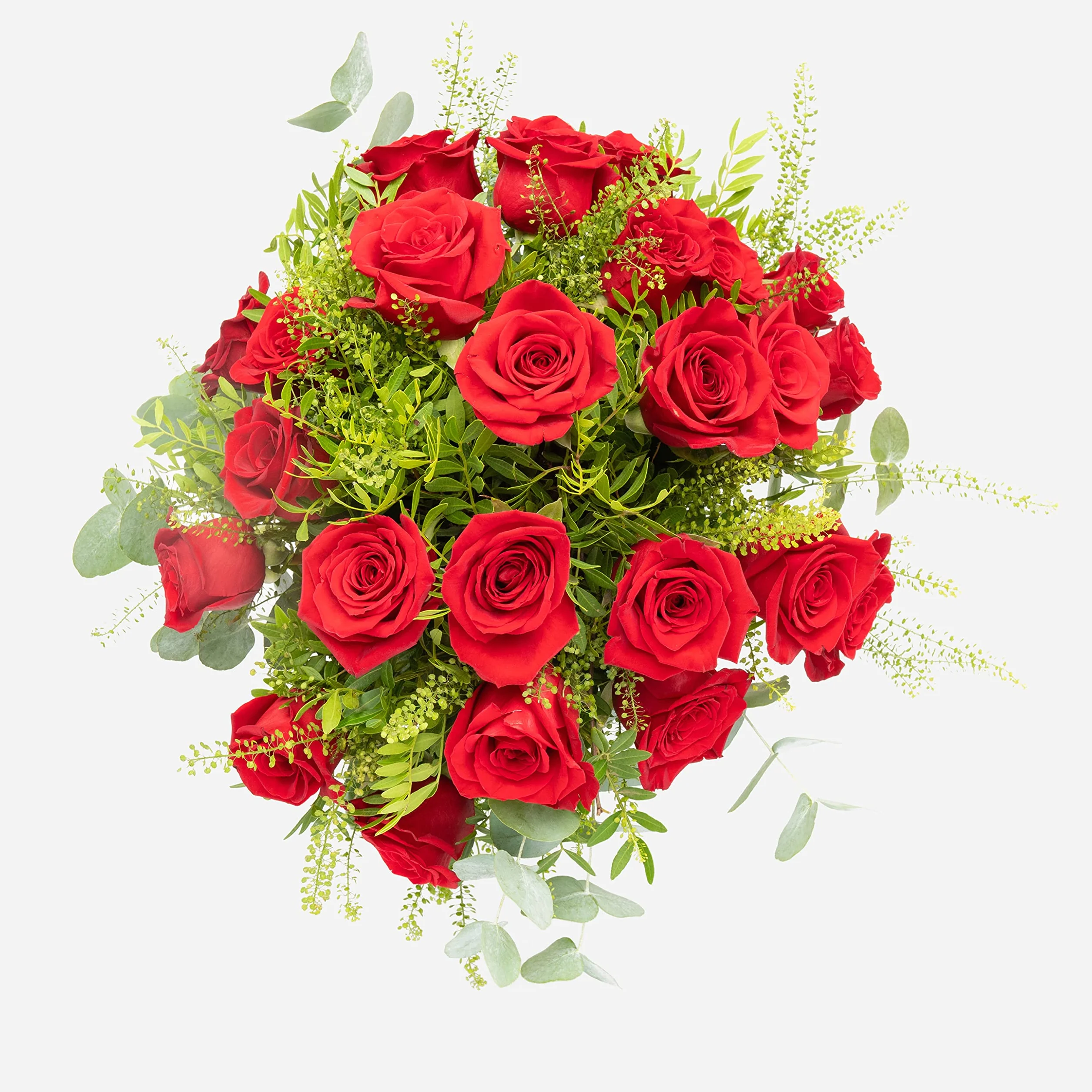 Ramo de 24 Rosas Naturales - Envío a Domicilio Gratis 24h - Flores Frescas con Tarjeta