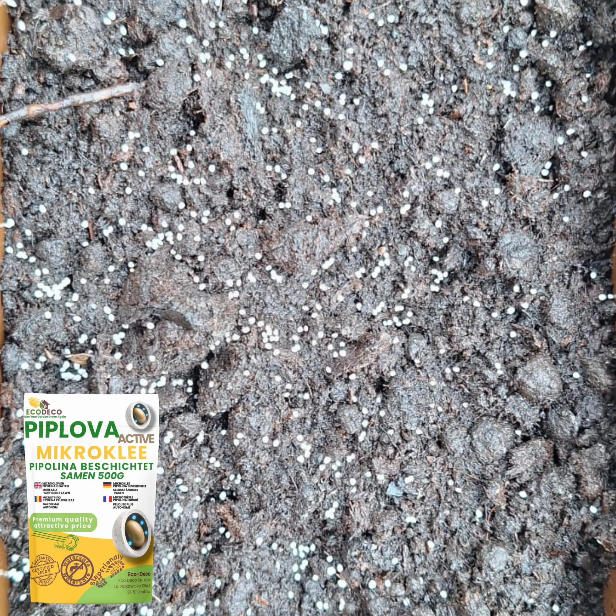 Semillas Césped Trébol Enano 500g (200m²) - Blanco Microtrébol Tapizante Resistente para Jardín