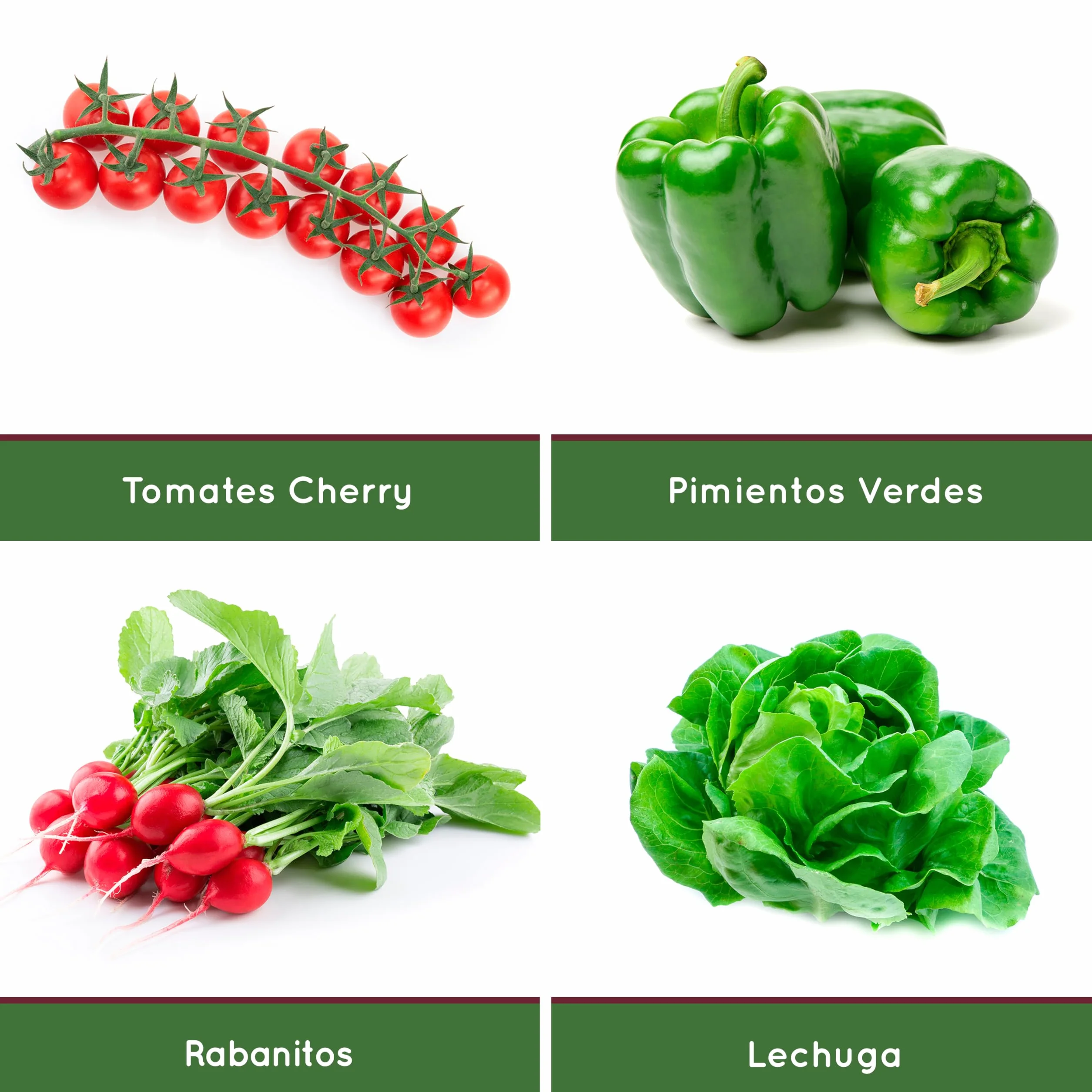 Mini Huerto Urbano Vintage Semillas Orgánicas España Kit Completo Lechuga Rábanos Pimientos Verdes Tomates Cherry