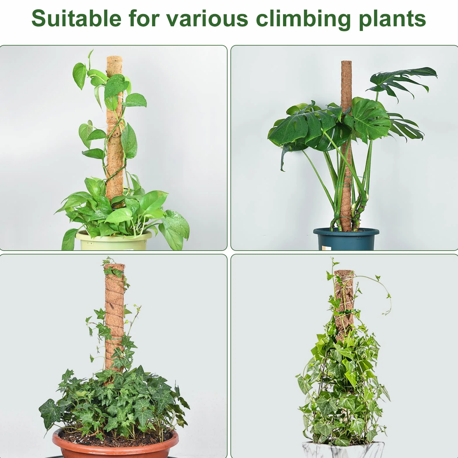 Vicloon Palo de Musgo 40CM Soporte Plantas Tótem con Cuerda Yute