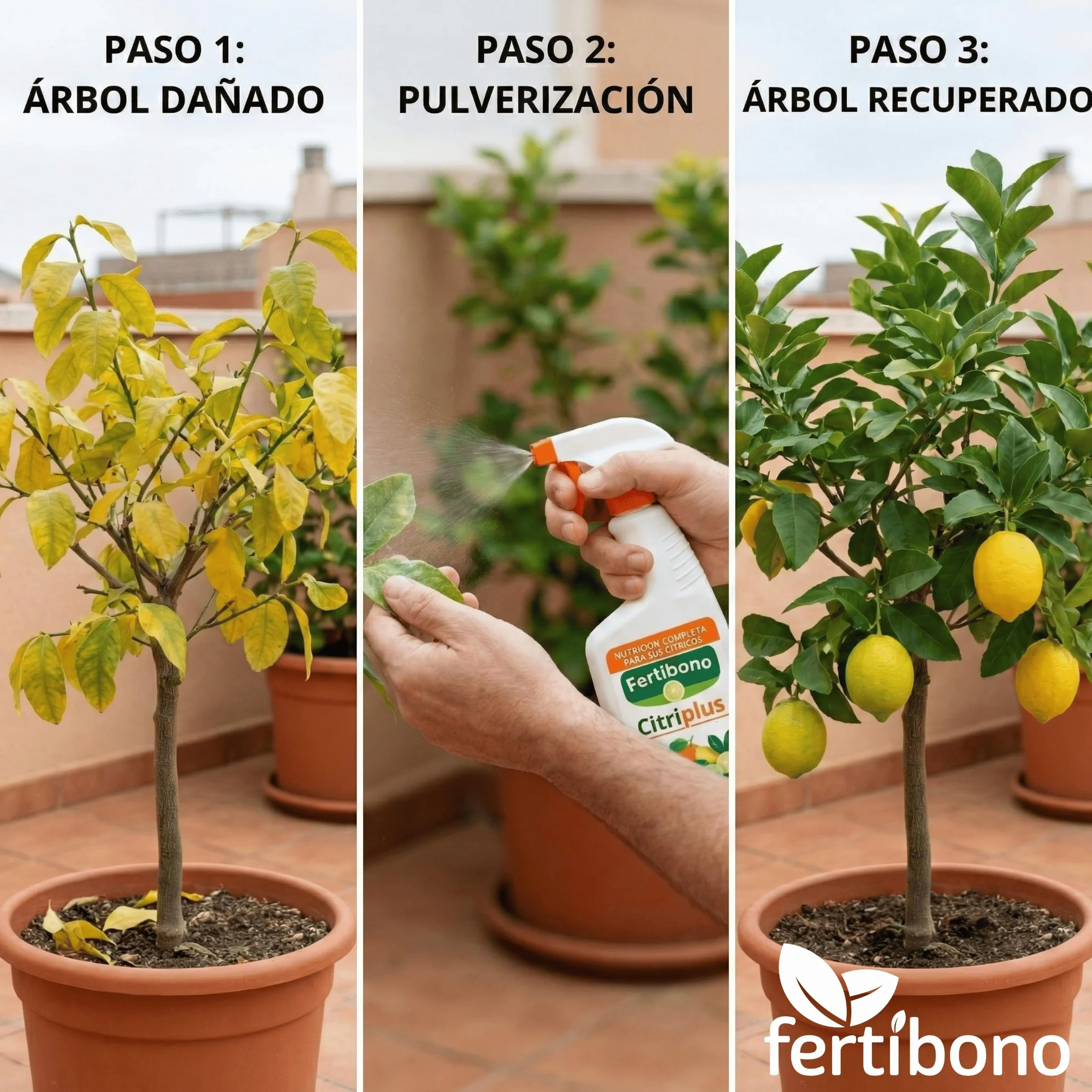 Fertibono CitriPlus Abono Cítricos 750 ml Pulverización Foliar Limonero Naranjo