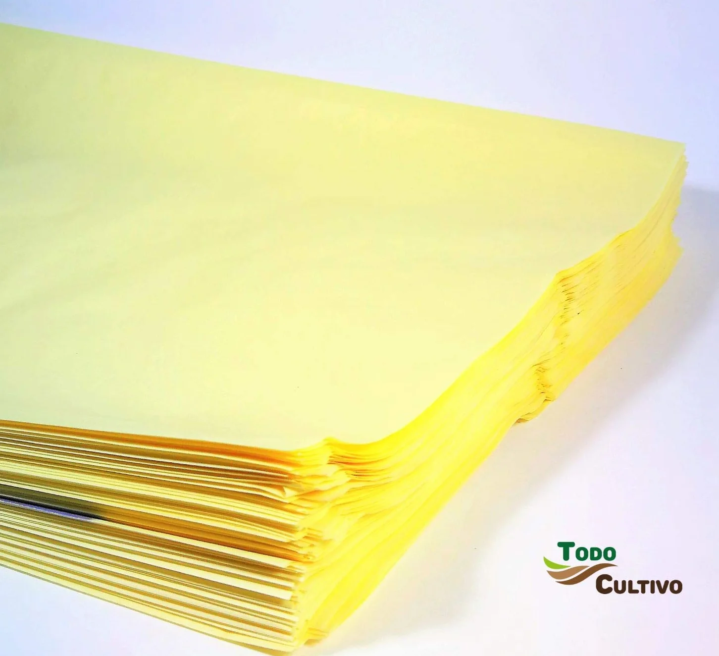 Bolsa de Papel Protectora Uvas Fruta 100 Unidades Doble Apertura