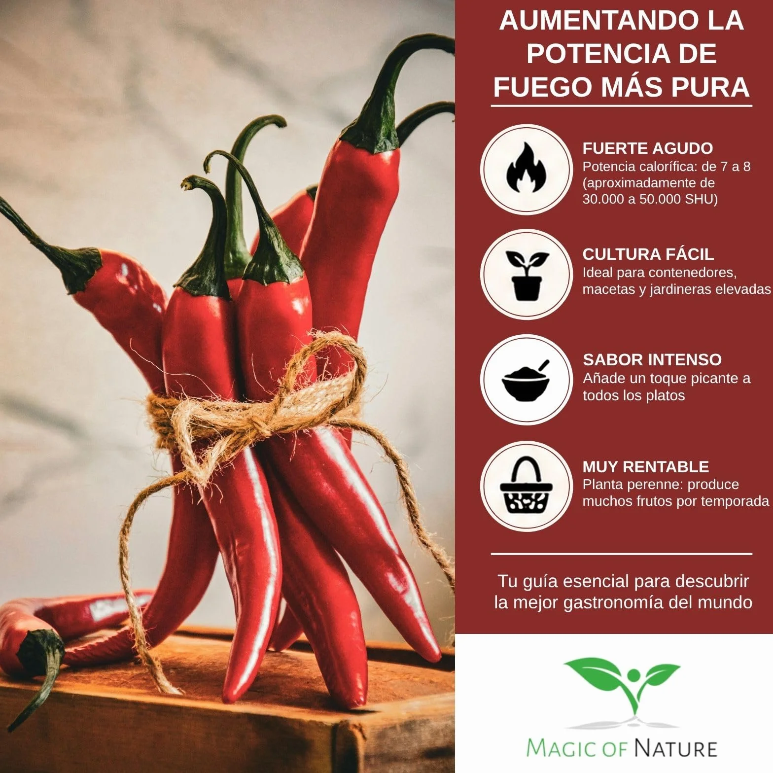 Red Cayenne Semillas de Chile Capsicum annuum 50 Ud. Nivel de Picante 8