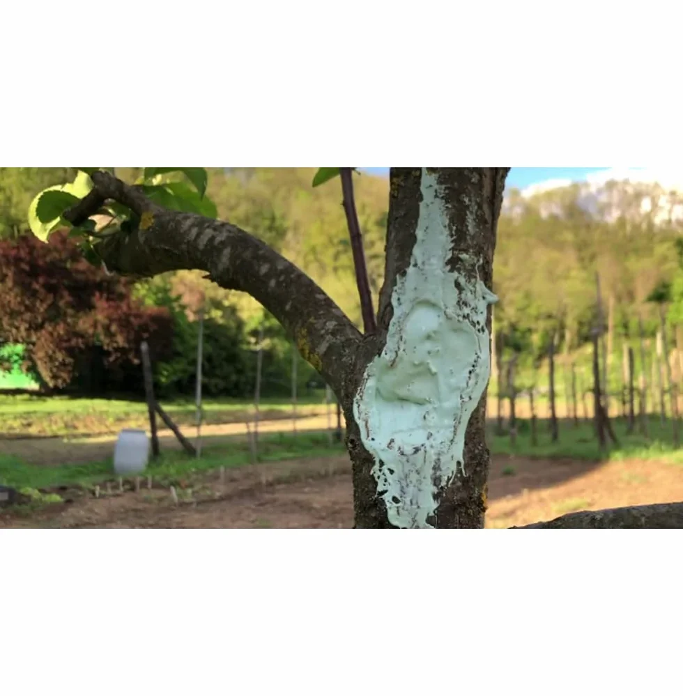 Masilla injertos ZAPI 200