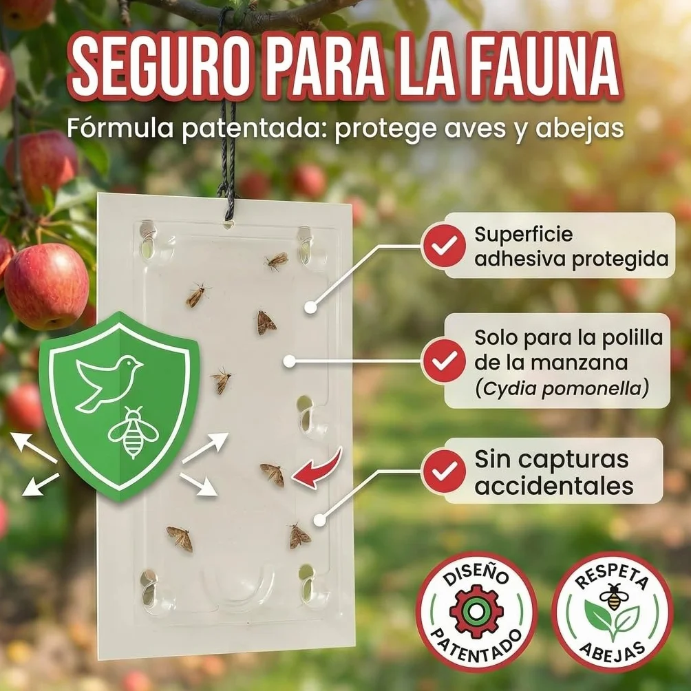 Pestmatic® Trampa Smart Polilla Manzana | Pack de 3 | Monitorización para Manzanos | Atrayente Natural Seguro para Abejas y Aves