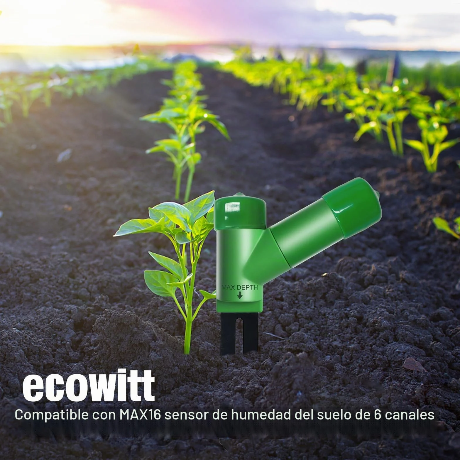 ECOWITT WH51 Probador de humedad del suelo Accesorio