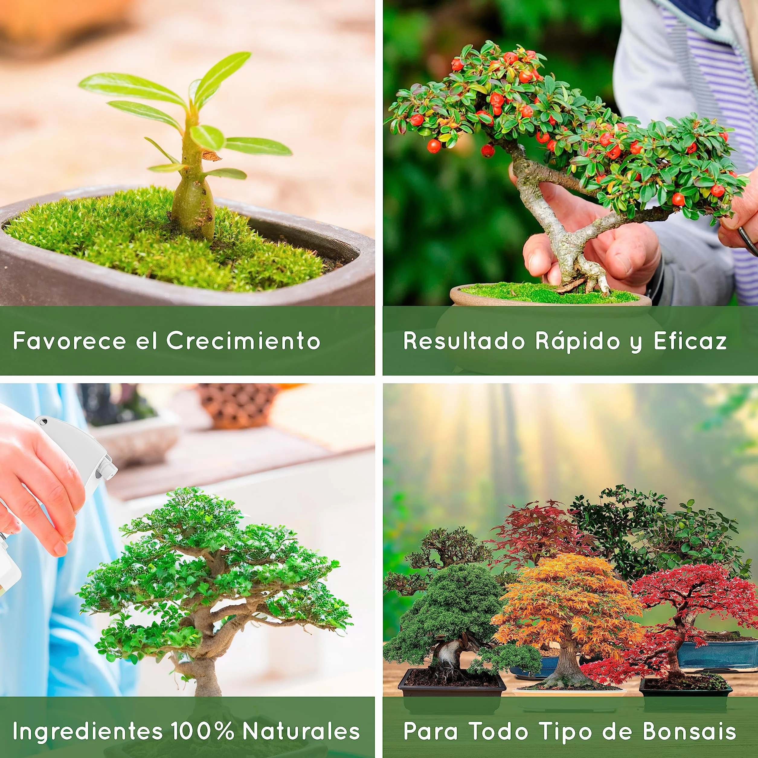 Abono Líquido Orgánico para Bonsais 250ml Fertilizante Natural Spray Listo Para Usar