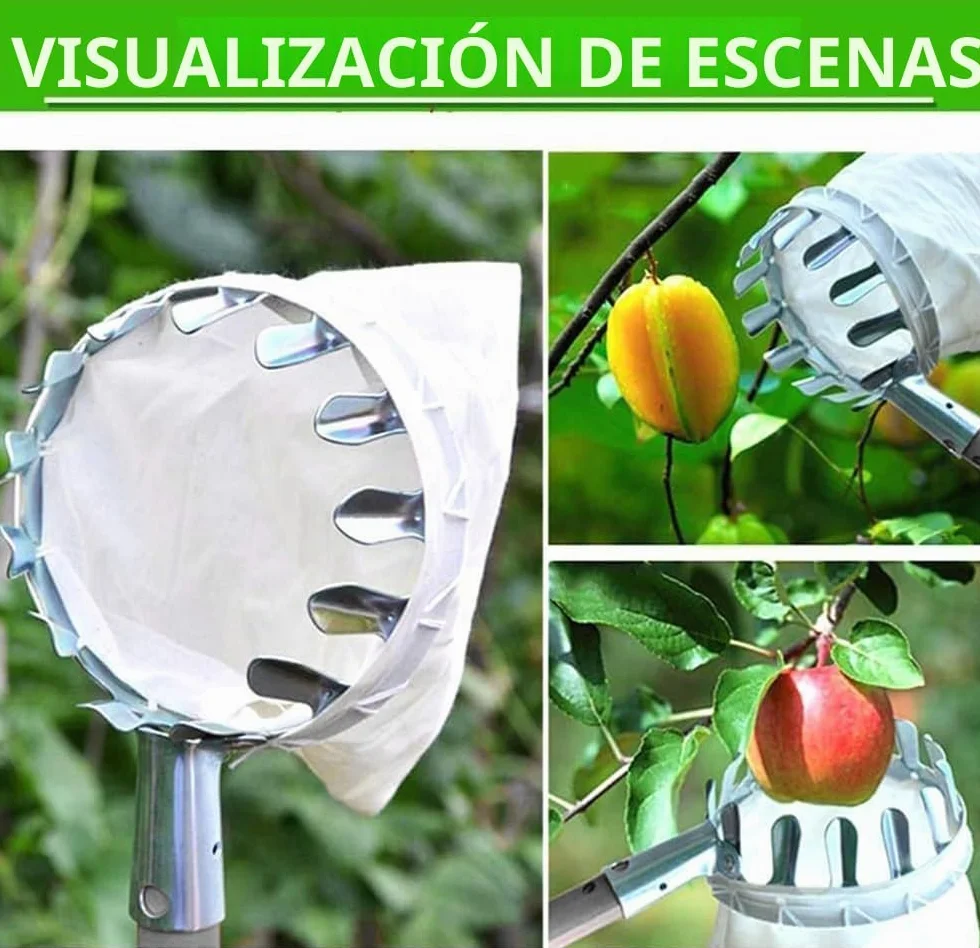 TUIBEIDAMAI Recogedor de frutas mango telescópico 4,25M acero inoxidable cerezas manzanas 16 cm