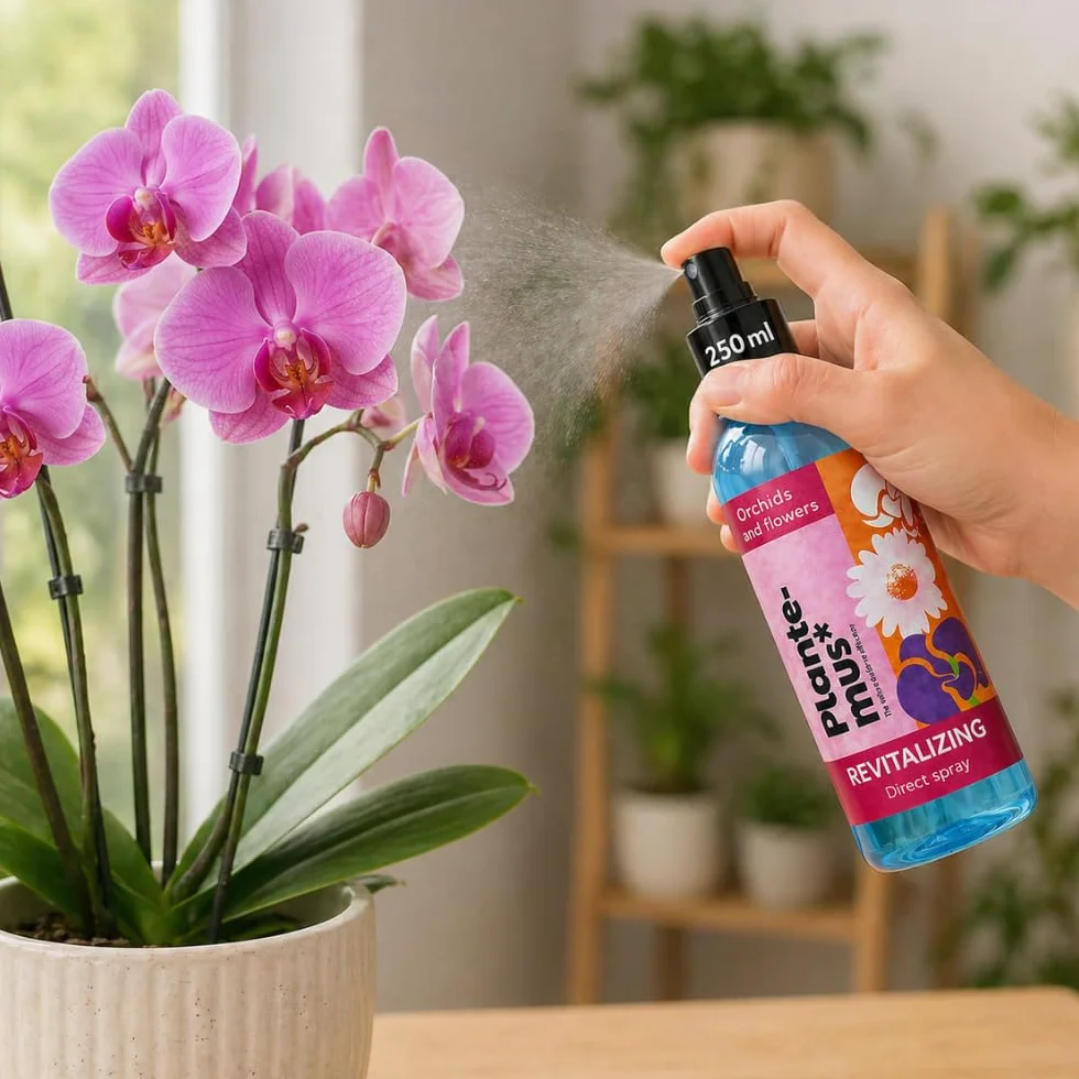 Plantemus Fertilizante Foliar para Orquídeas - Spray 250 ml