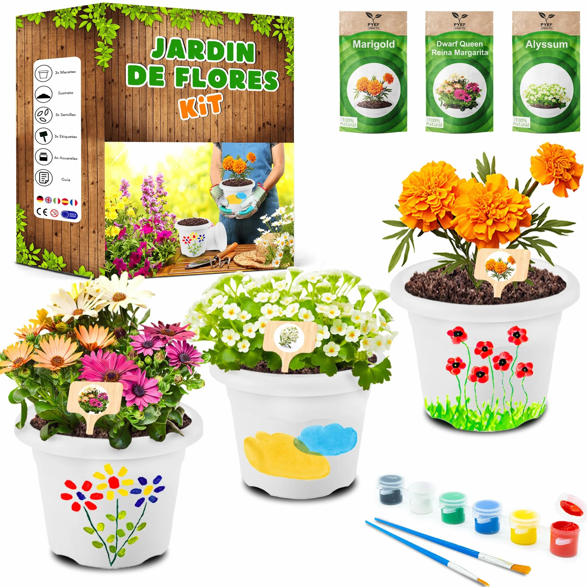PYEF CRAFTS Kit Cultivo Flores Pinturas para Niños - Huerto Urbano Manualidades Juguetes 3-10 años