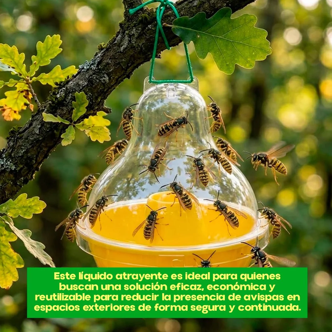 Preben Líquido para Trampa de Avispas y Avispones 400ml Atrayente Concentrado Exterior Jardín