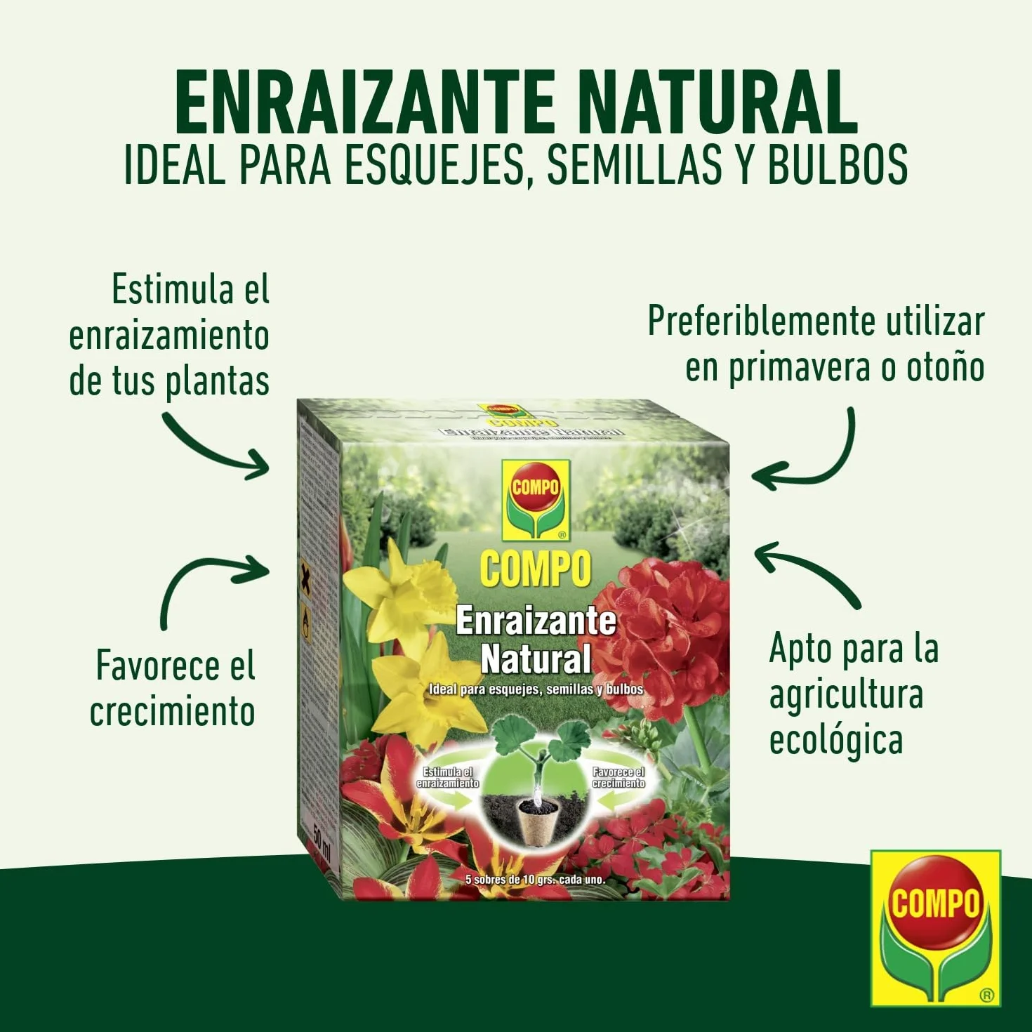 COMPO Enraizante natural 5 sobres 10 g para esquejes semillas bulbos agricultura ecológica