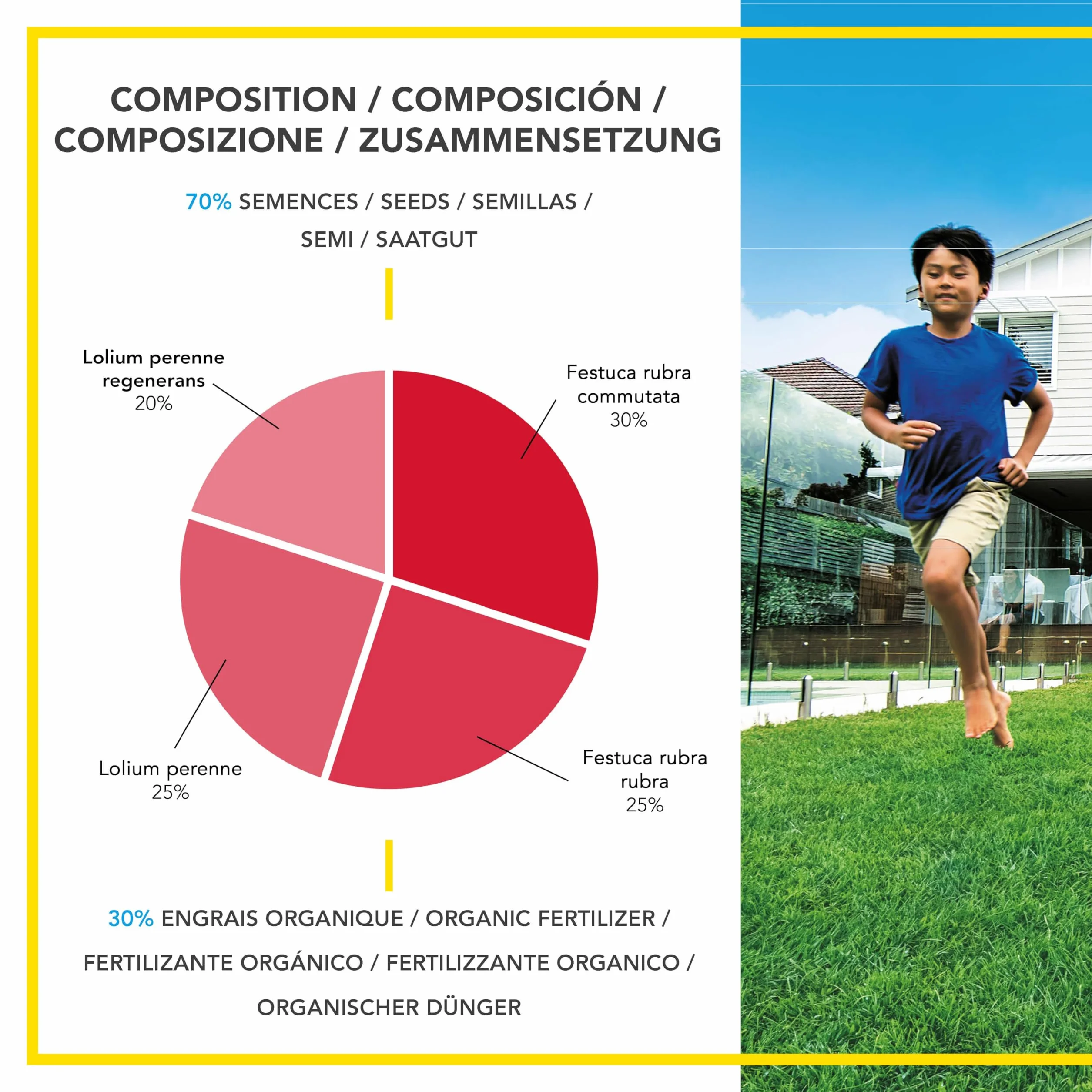 BARENBRUG Césped Implantación Rápida 5 kg Germinación 7 Días Alfombra Densa Resistente