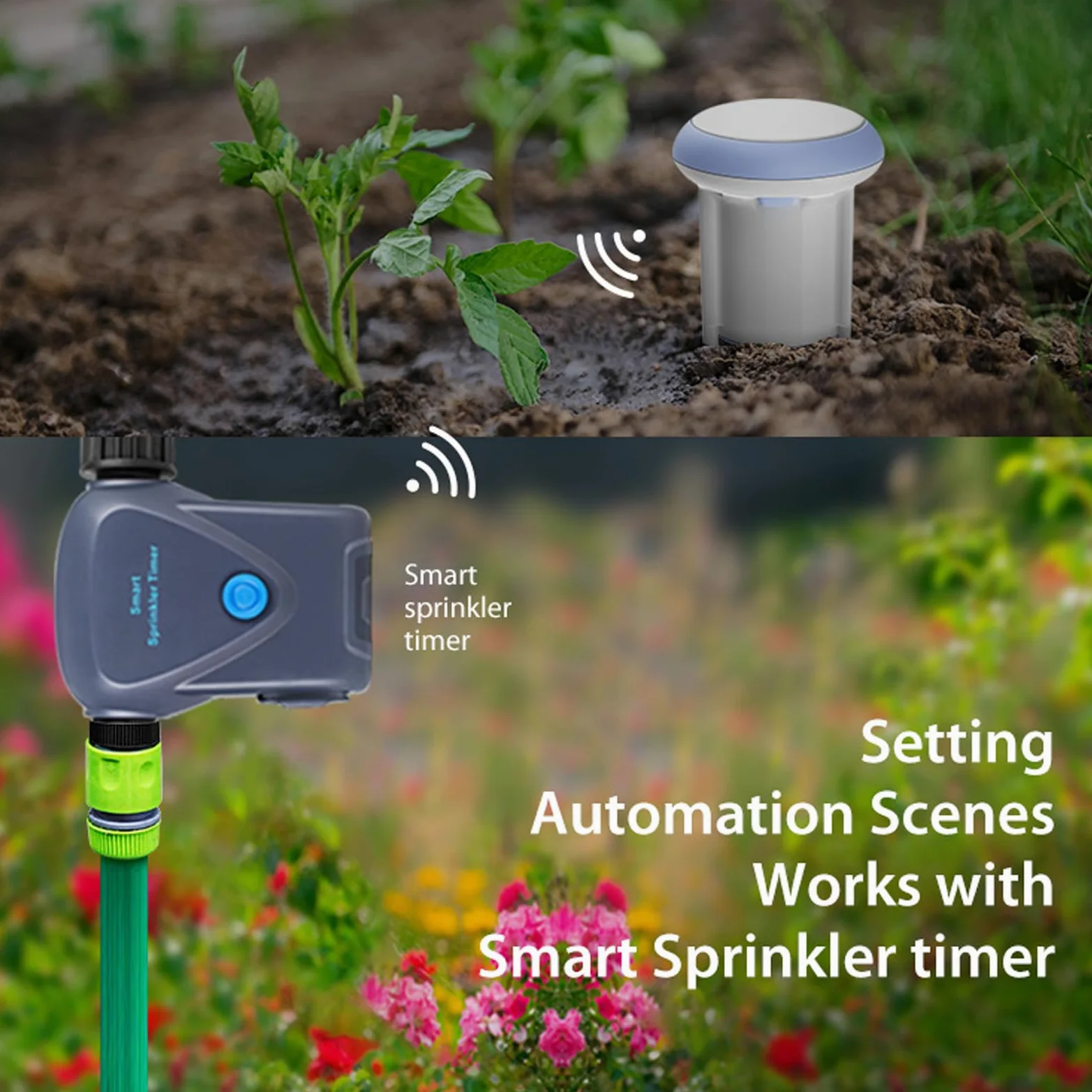 Sensor de Suelo WiFi, Bluetooth Inalámbrico 5.0 IP66 Monitor de Temperatura a Prueba de Agua con Control Remoto de la Aplicación para Plantas en Macetas Cuidado