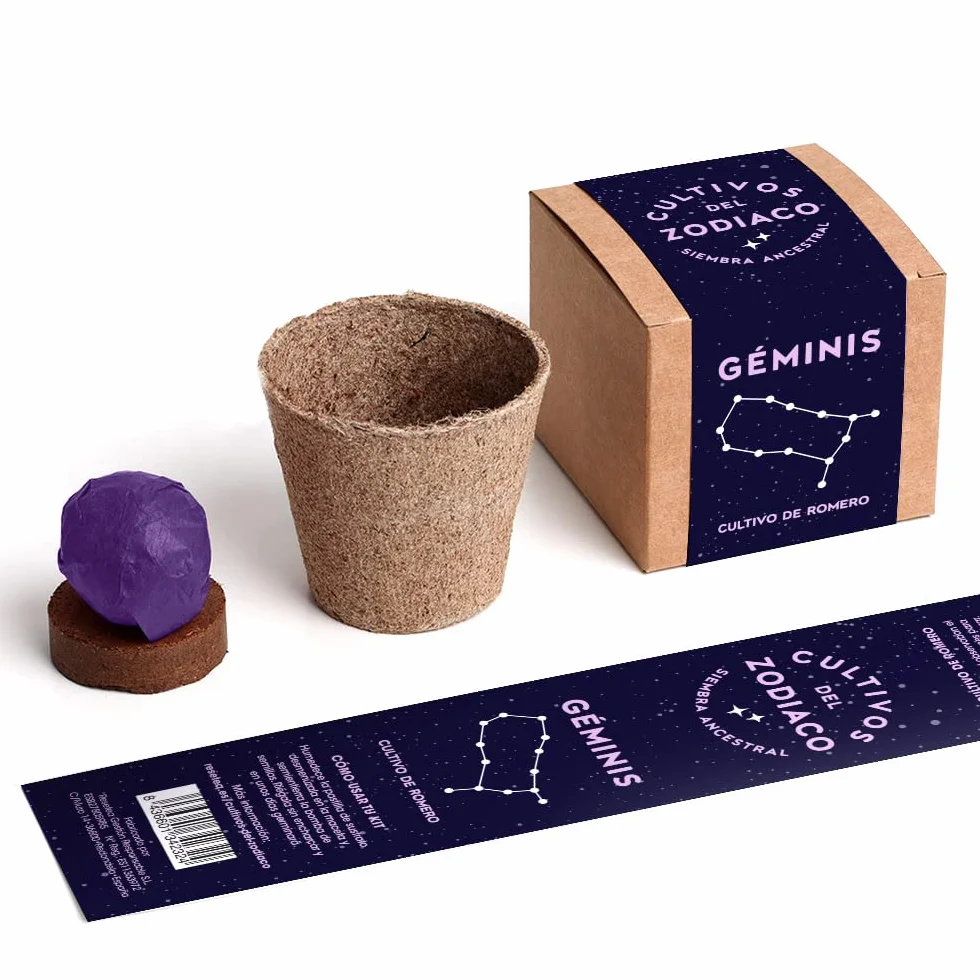 Cultivos del Zodiaco Géminis Semillas de Romero Kit de cultivo con bomba de semillas sustrato y maceta Regalo original horóscopo