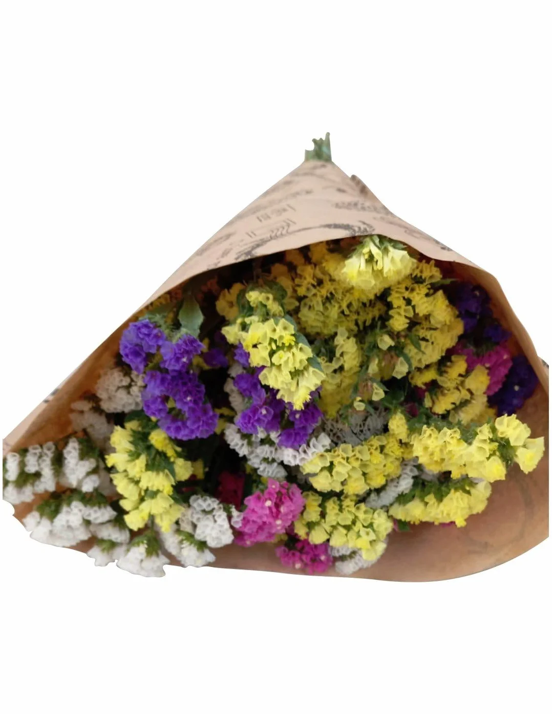 SiempreViva Ramo Natural 10 Tallos Hojas Naturales Decoración