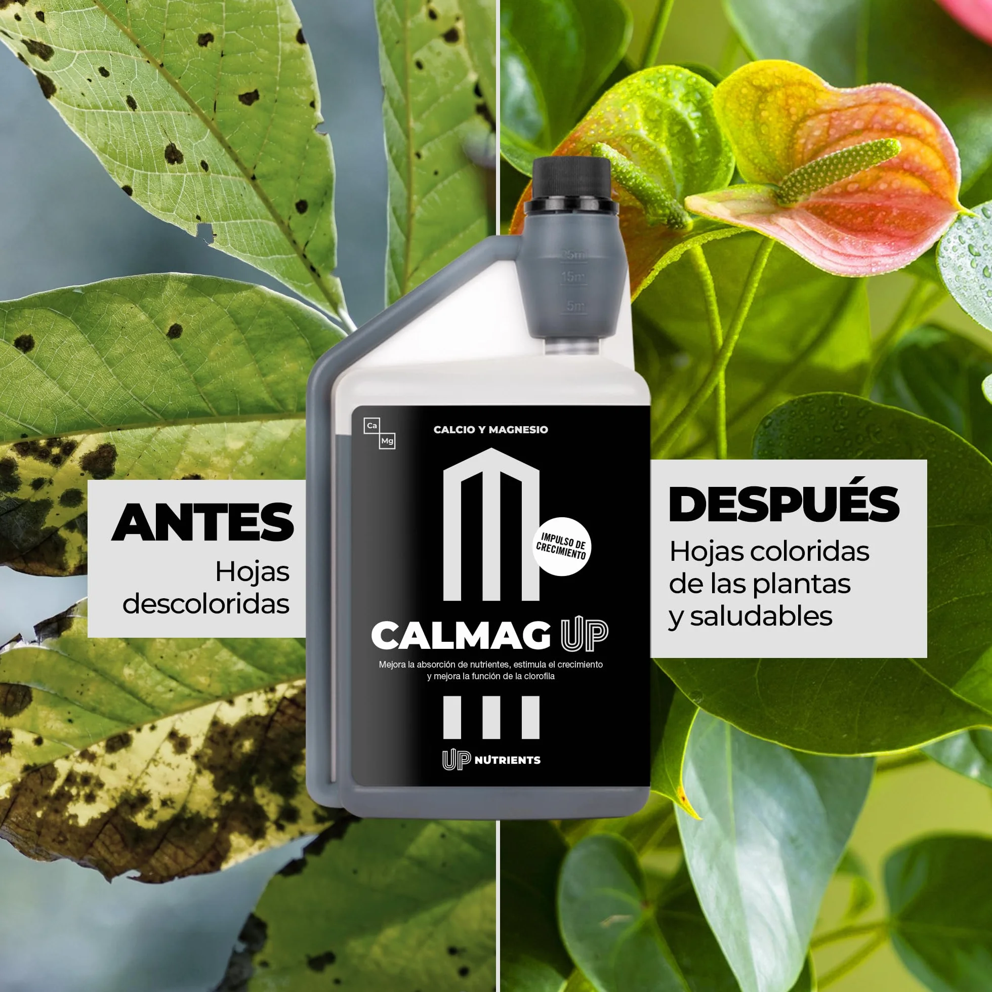 UP NUTRIENTS Calcio y Magnesio CALMAG UP 1 L Fertilizante Orgánico para Plantas y Cultivos